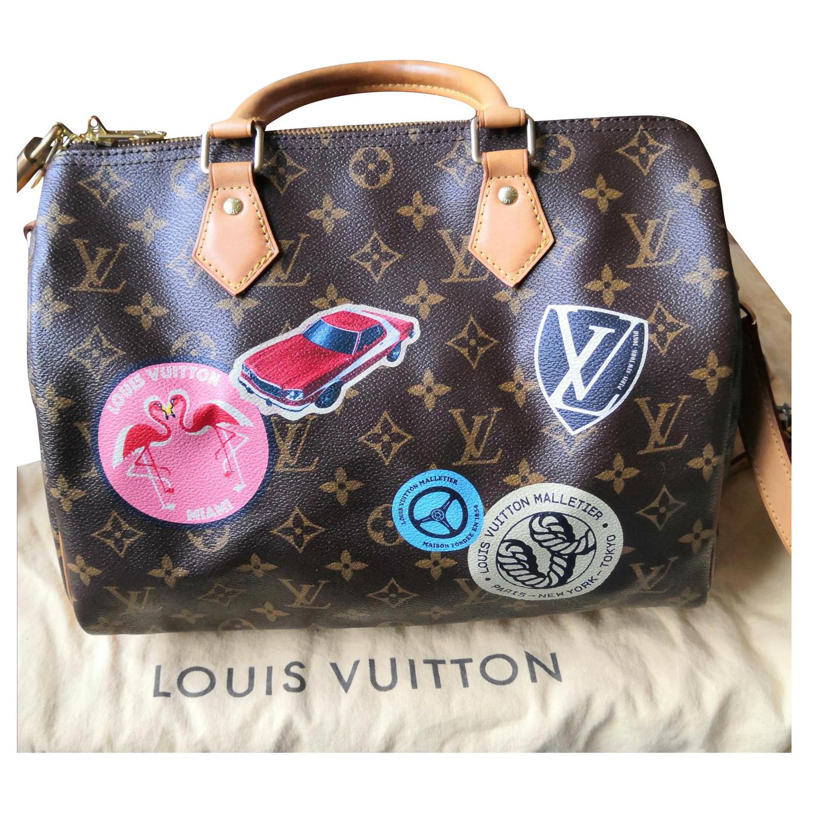 Louis Vuitton Speedy Bandouliere Bag Limited Edition World Tour