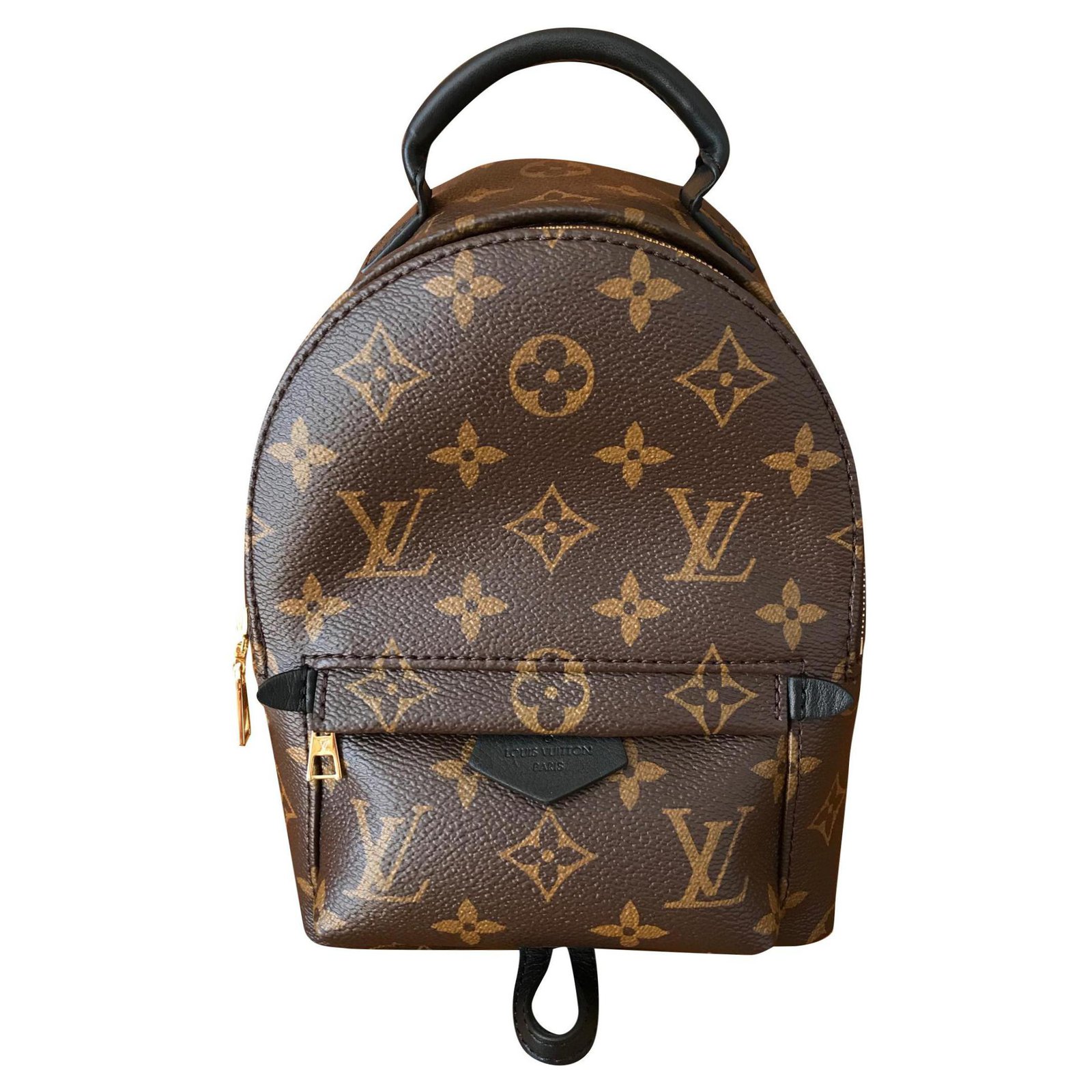 palm spring bolsa lv