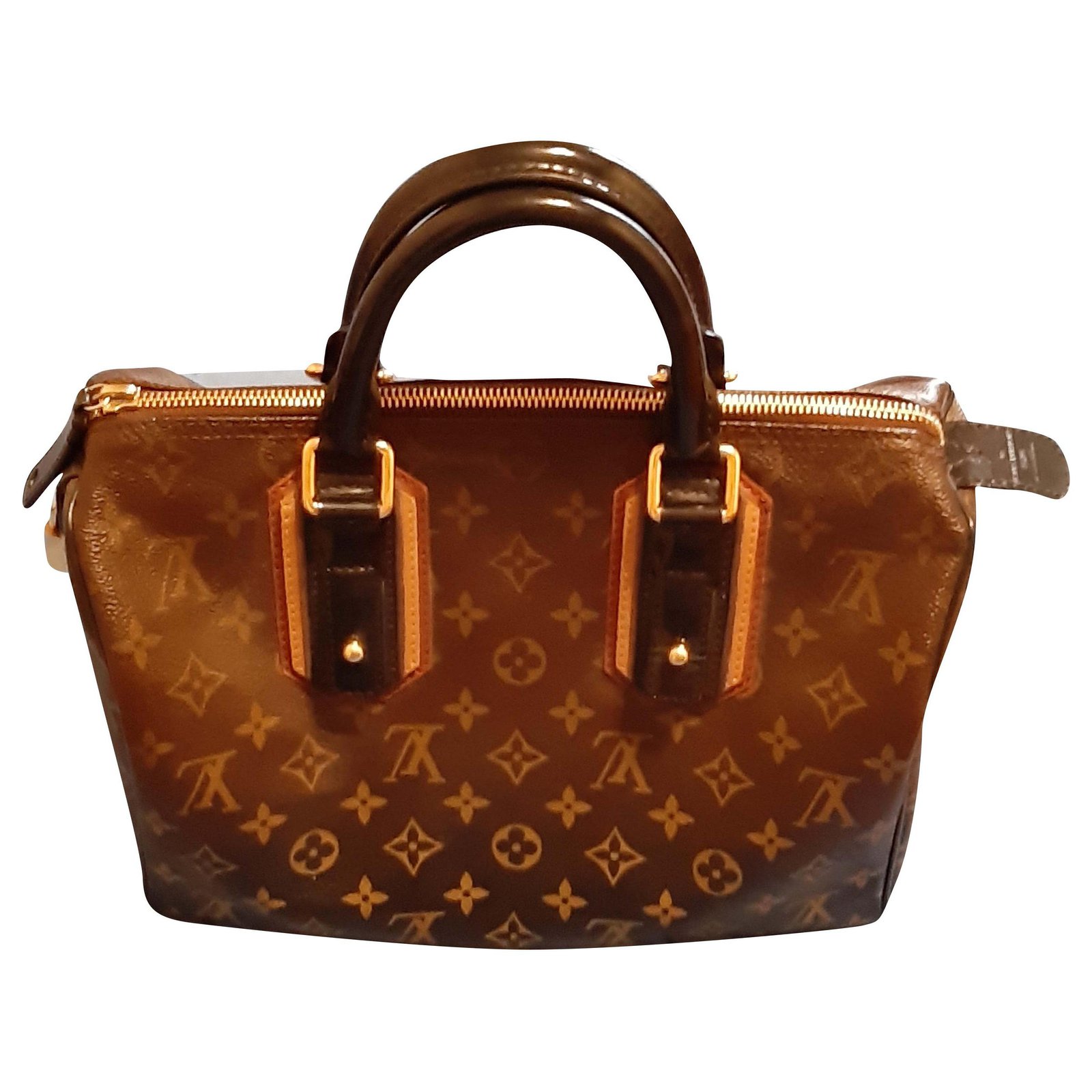 Louis Vuitton handbag in brown shading leather