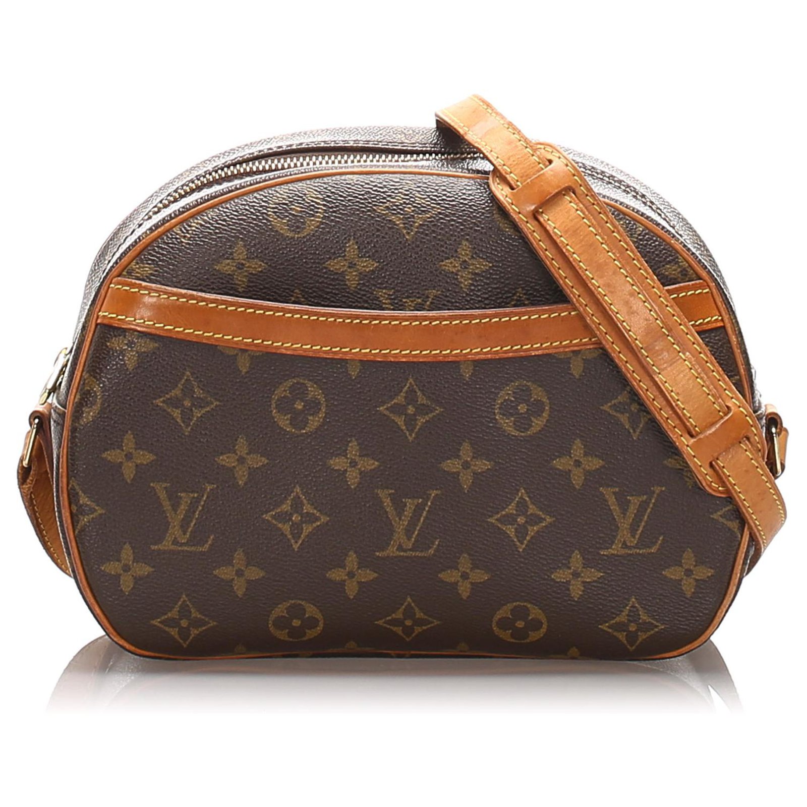 Louis Vuitton Brown Monogram Blois Leather Cloth ref.977311 - Joli