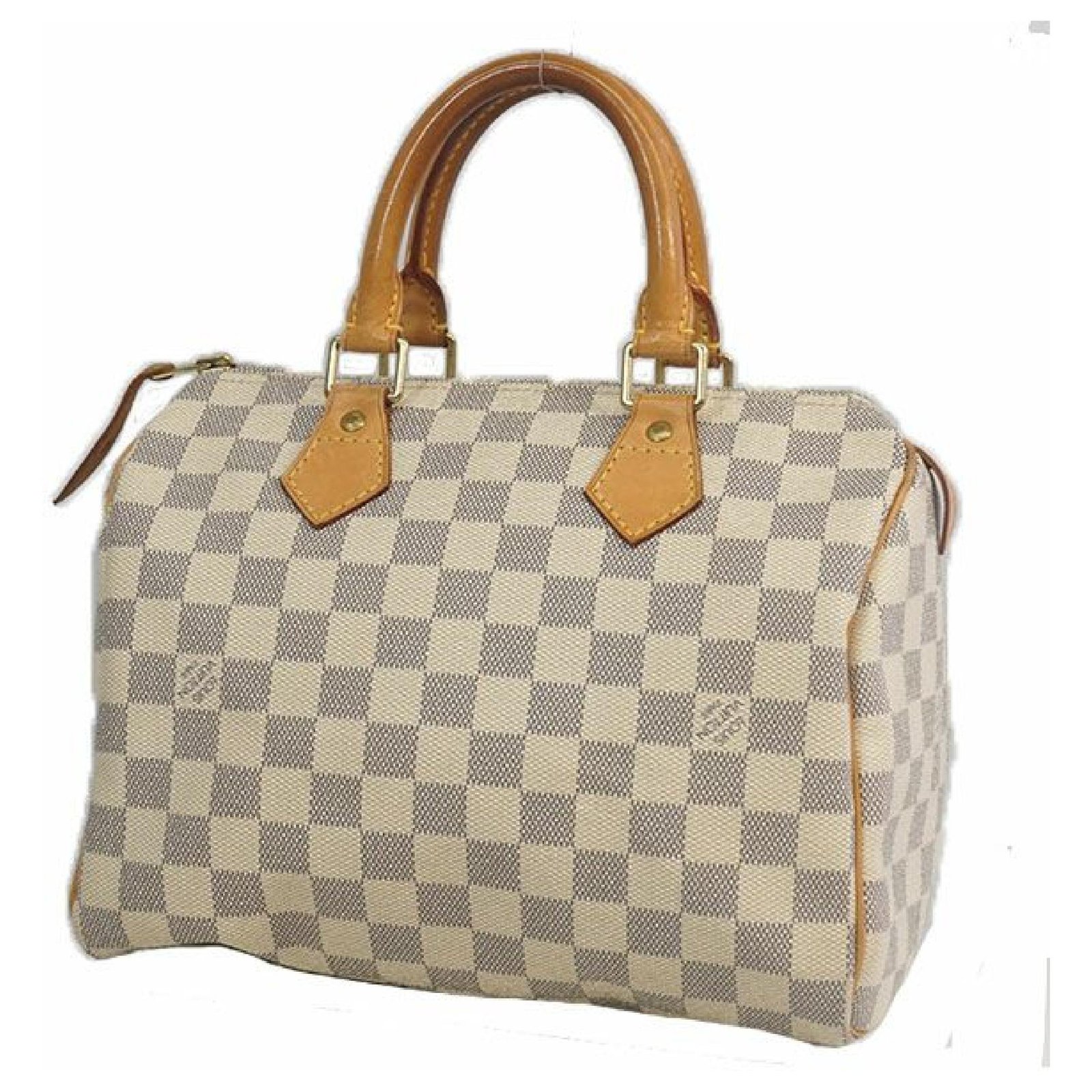 Louis Vuitton Speedy 25 Womens Boston bag N41371 ref.205856 - Joli Closet