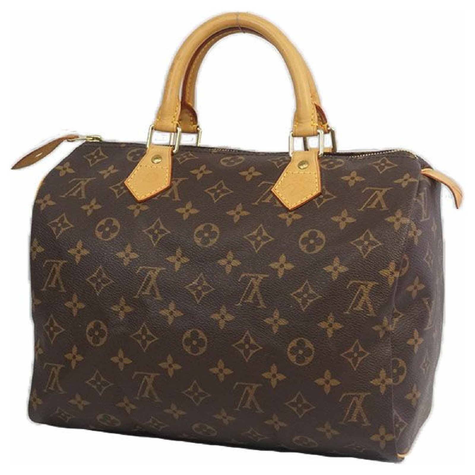 Louis Vuitton Speedy 30 Womens Boston bag M41108 Cloth ref.209613