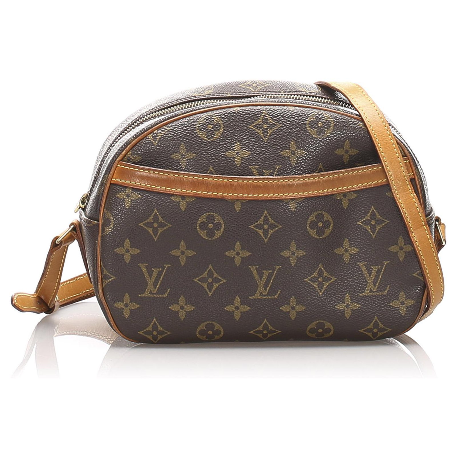 Louis Vuitton Brown Monogram Blois Leather Cloth ref.977311 - Joli