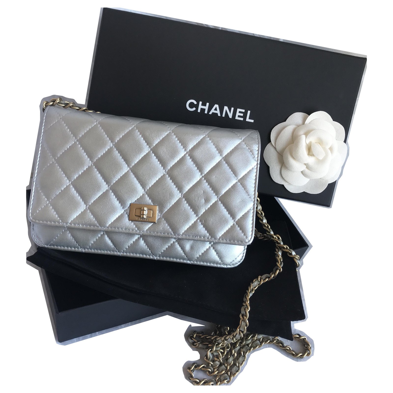 Chanel WOC Wallet on Chain Mini Bag Silvery Metallic Leather ref
