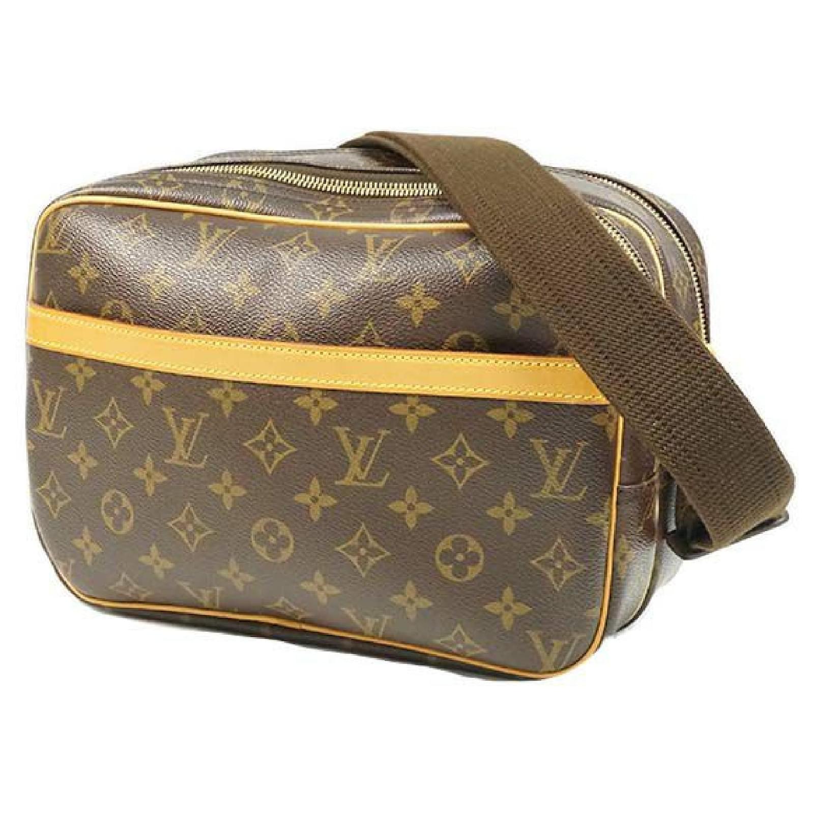Borse Louis vuitton in Pelle Marrone - 16425701