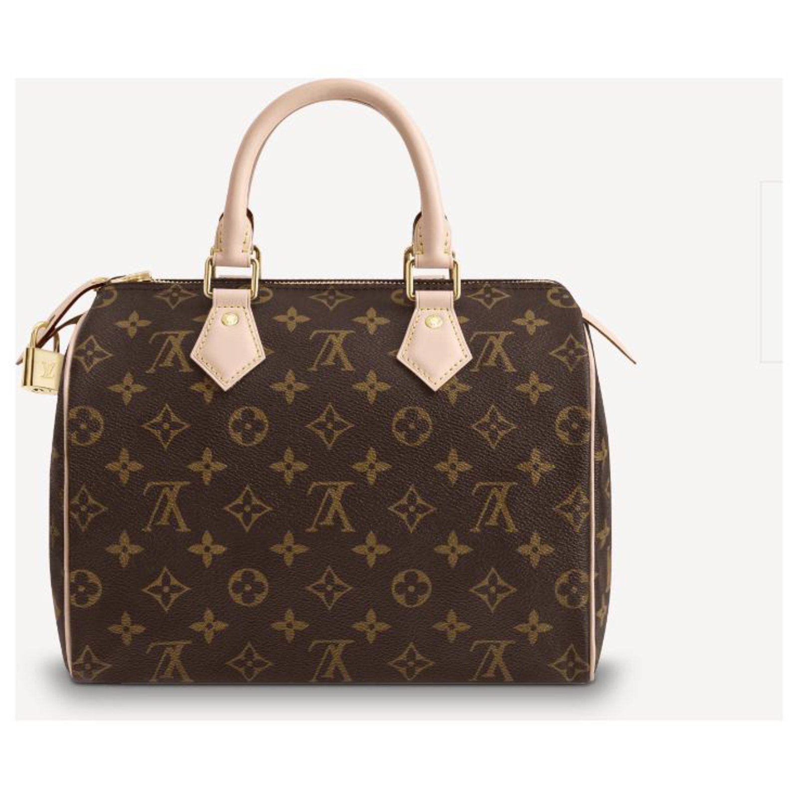 Louis Vuitton LV Speedy mono 25 Brown Leather ref.237538 - Joli Closet