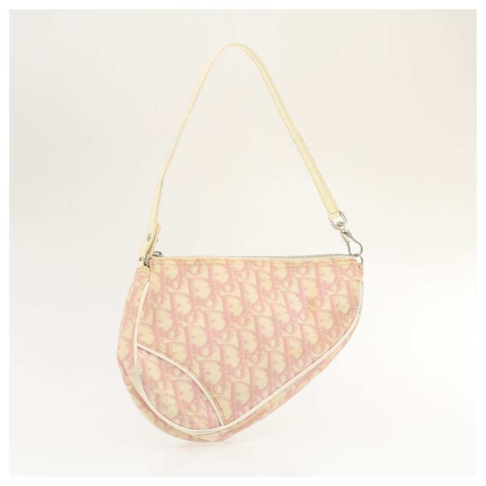 dior saddle clutch bag