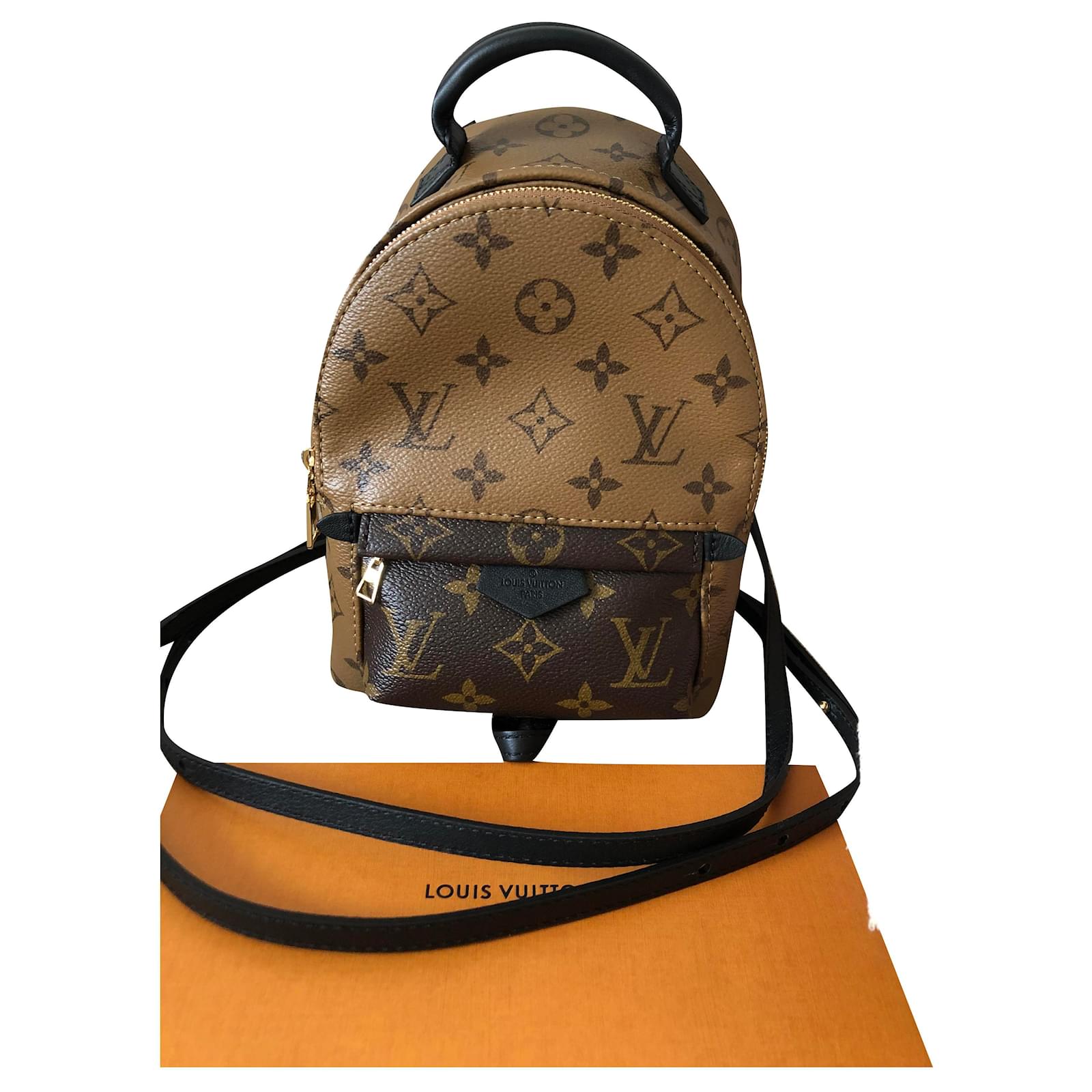 Speedy Louis Vuitton Palm Springs Mini Reverse Cognac Pelle ref.245026 -  Joli Closet