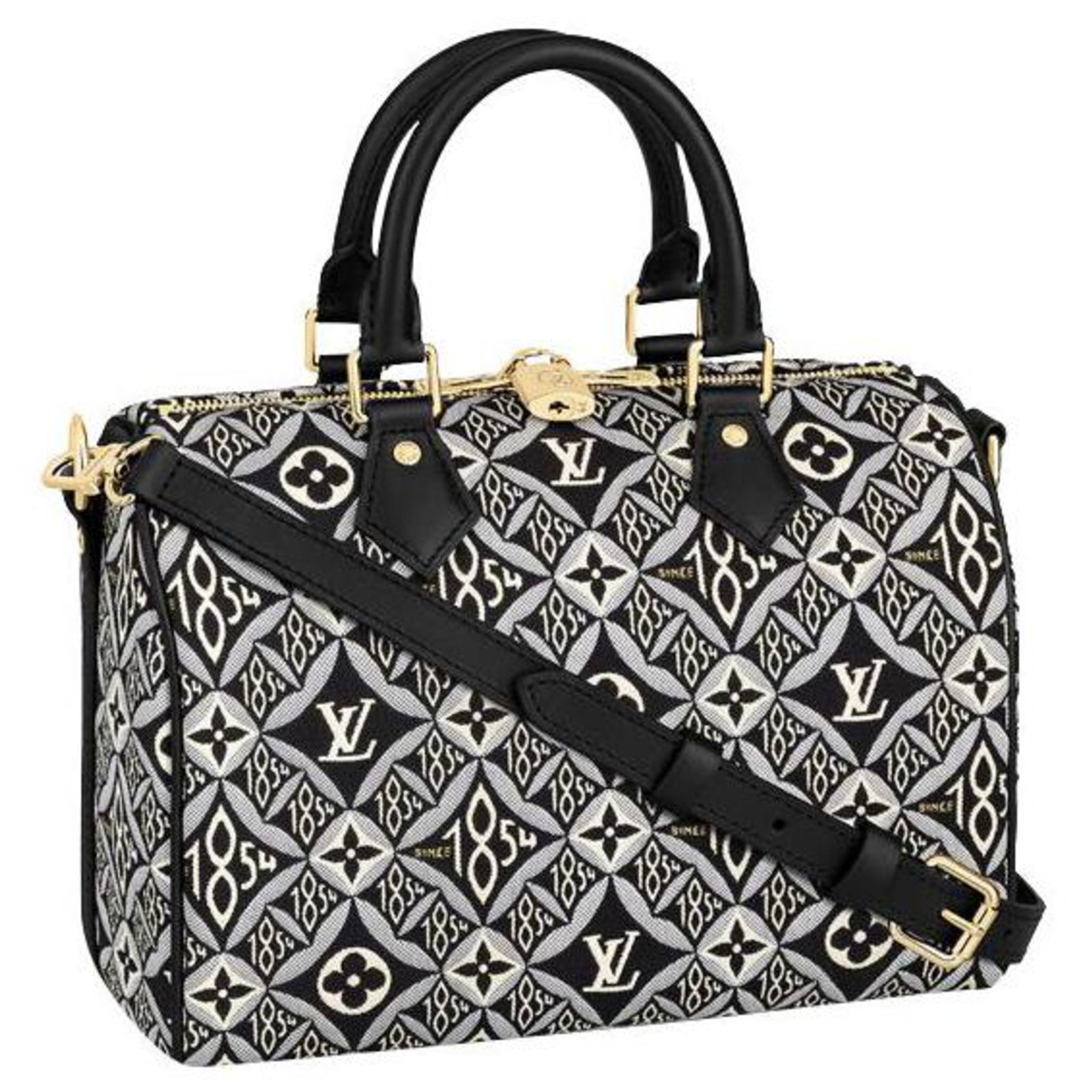 Louis Vuitton LV Speedy 25 Handbag