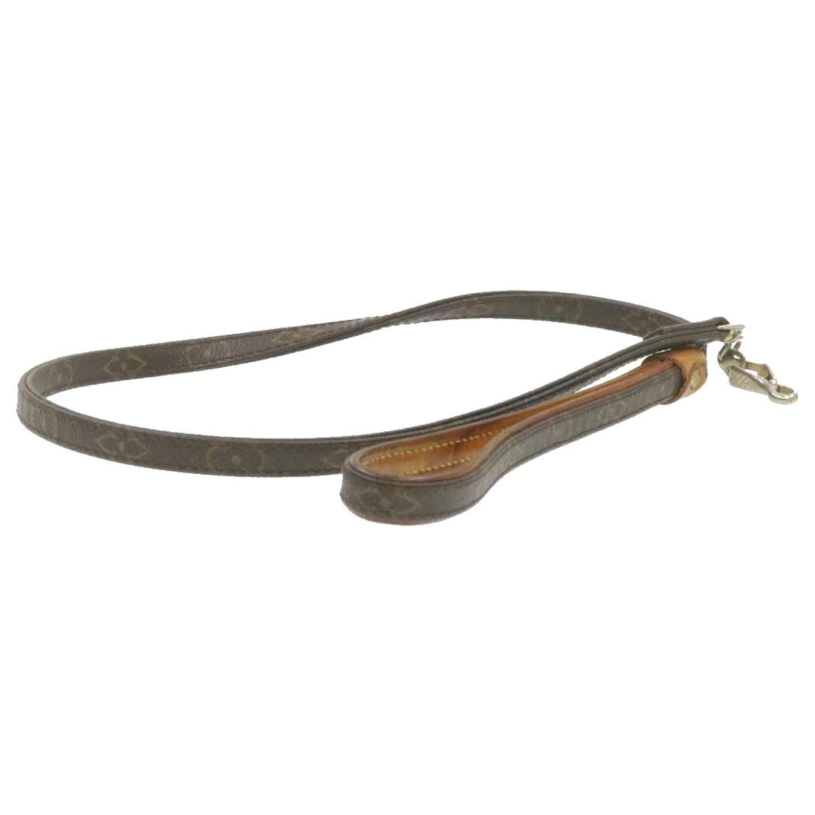 LOUIS VUITTON Monogram Leash Baxter MM Dog Lead M58056 LV Auth br256 Cloth  ref.271621 - Joli Closet