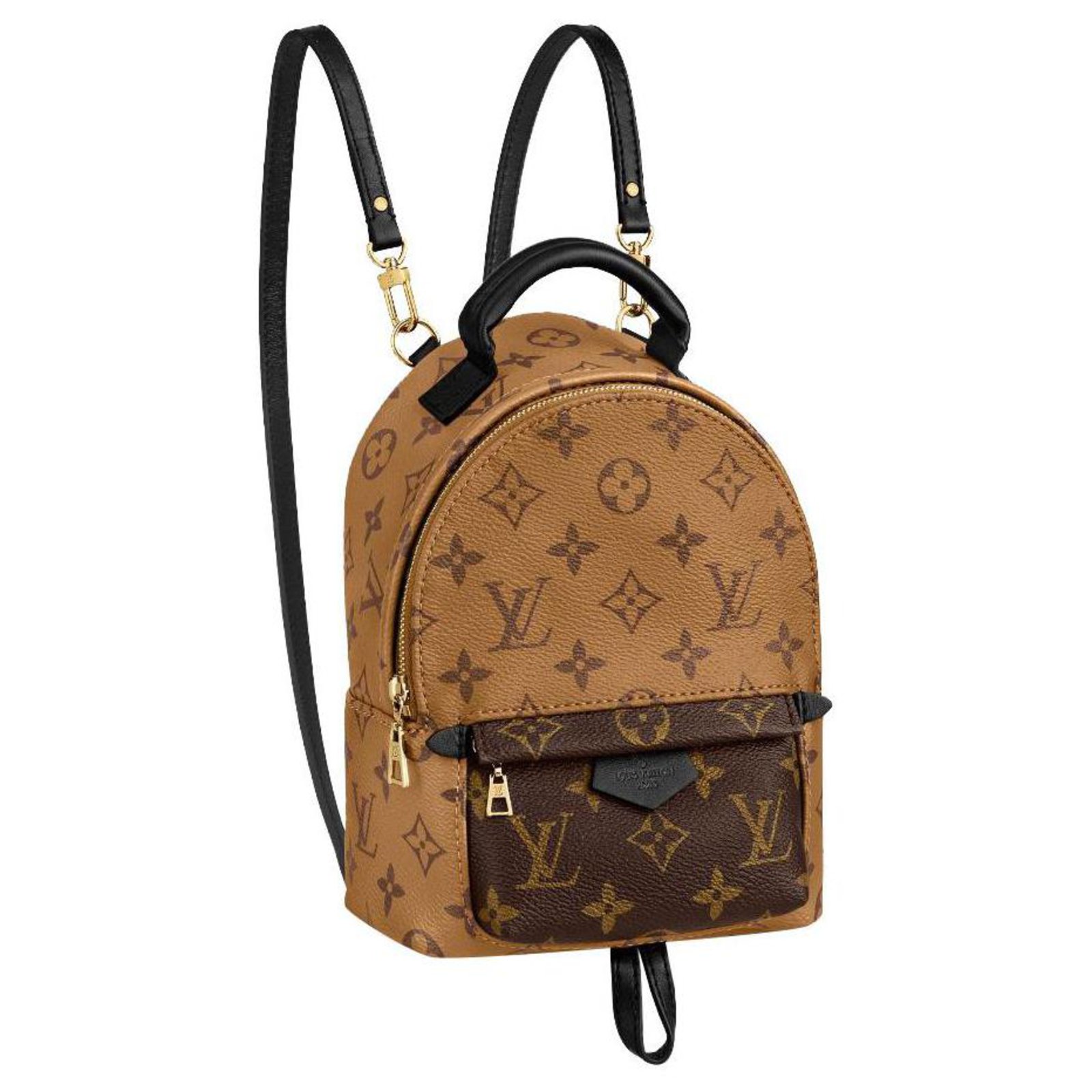 Louis Vuitton LV Palm spring mini backpack reverse Brown Leather ref.299723  - Joli Closet