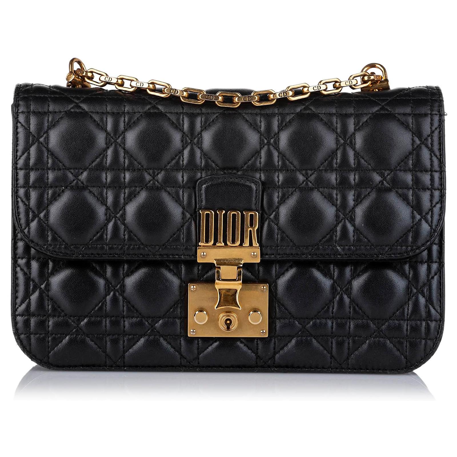 dioraddict bolsa