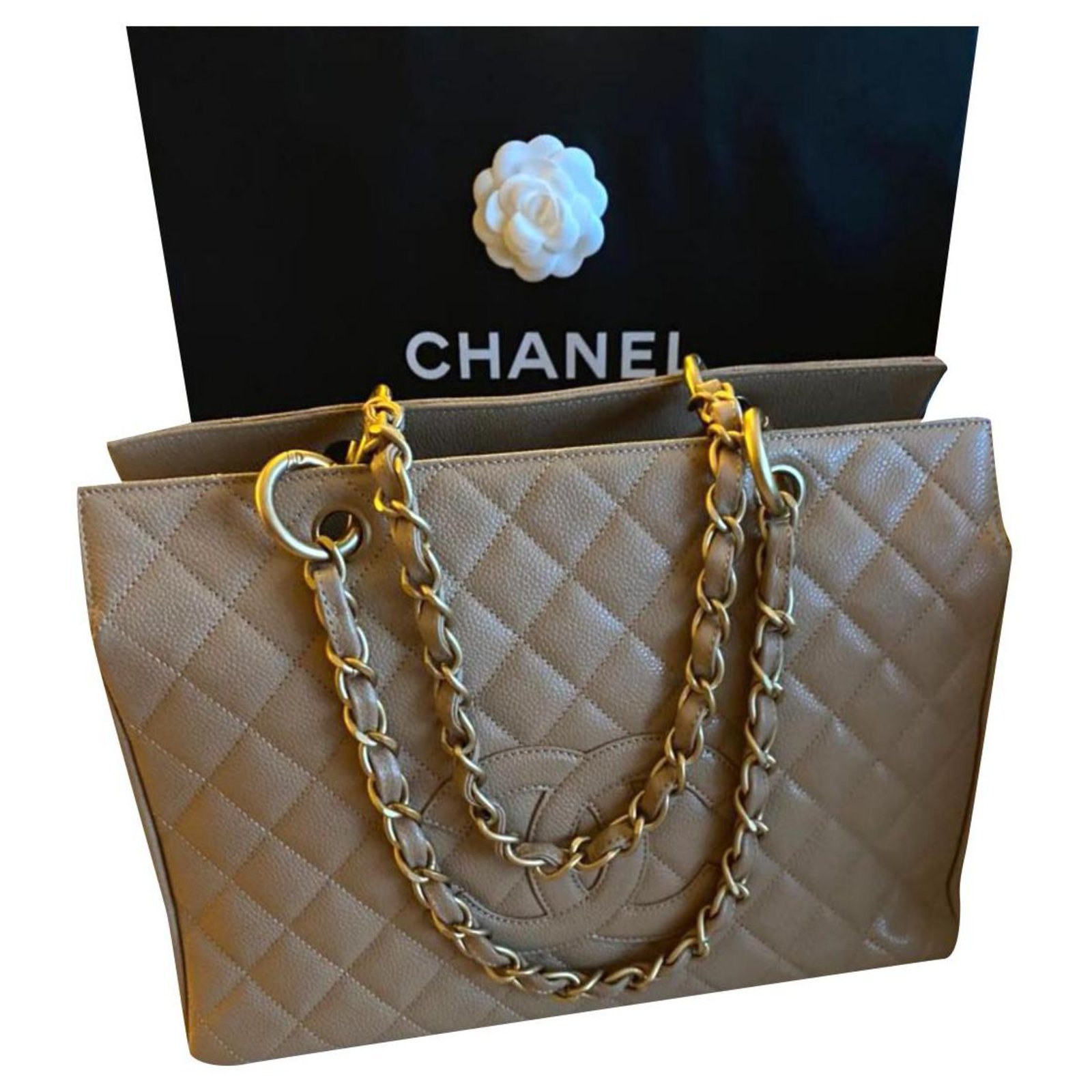 Chanel Taupe Caviar grand shopping tote GHW Beige Leather ref.319131 - Joli  Closet
