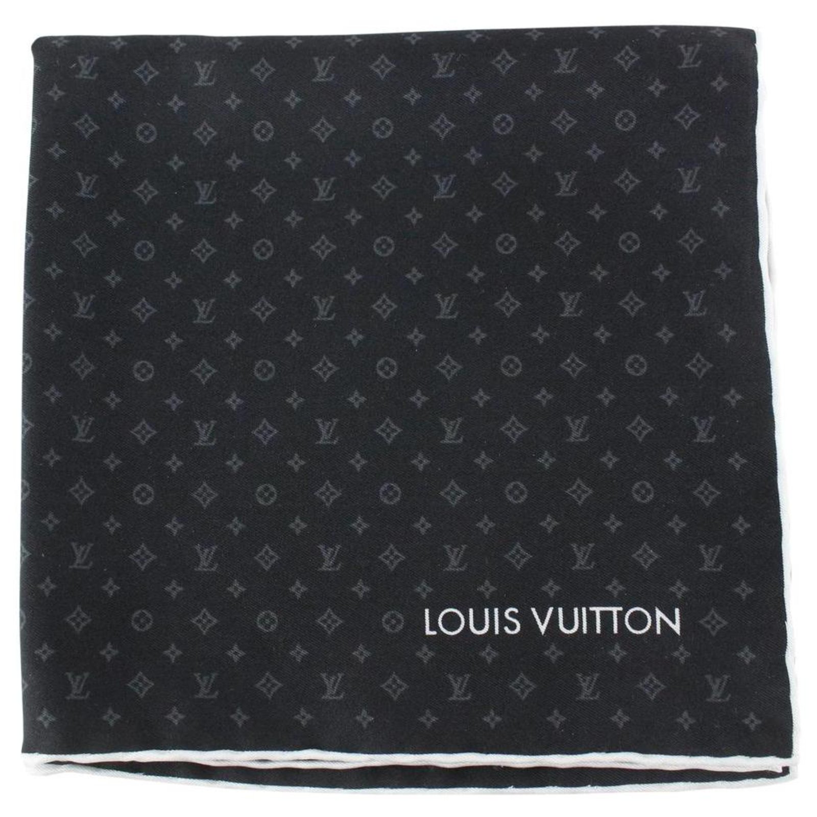 Louis Vuitton Damier Ebene Eva Pochette Bag