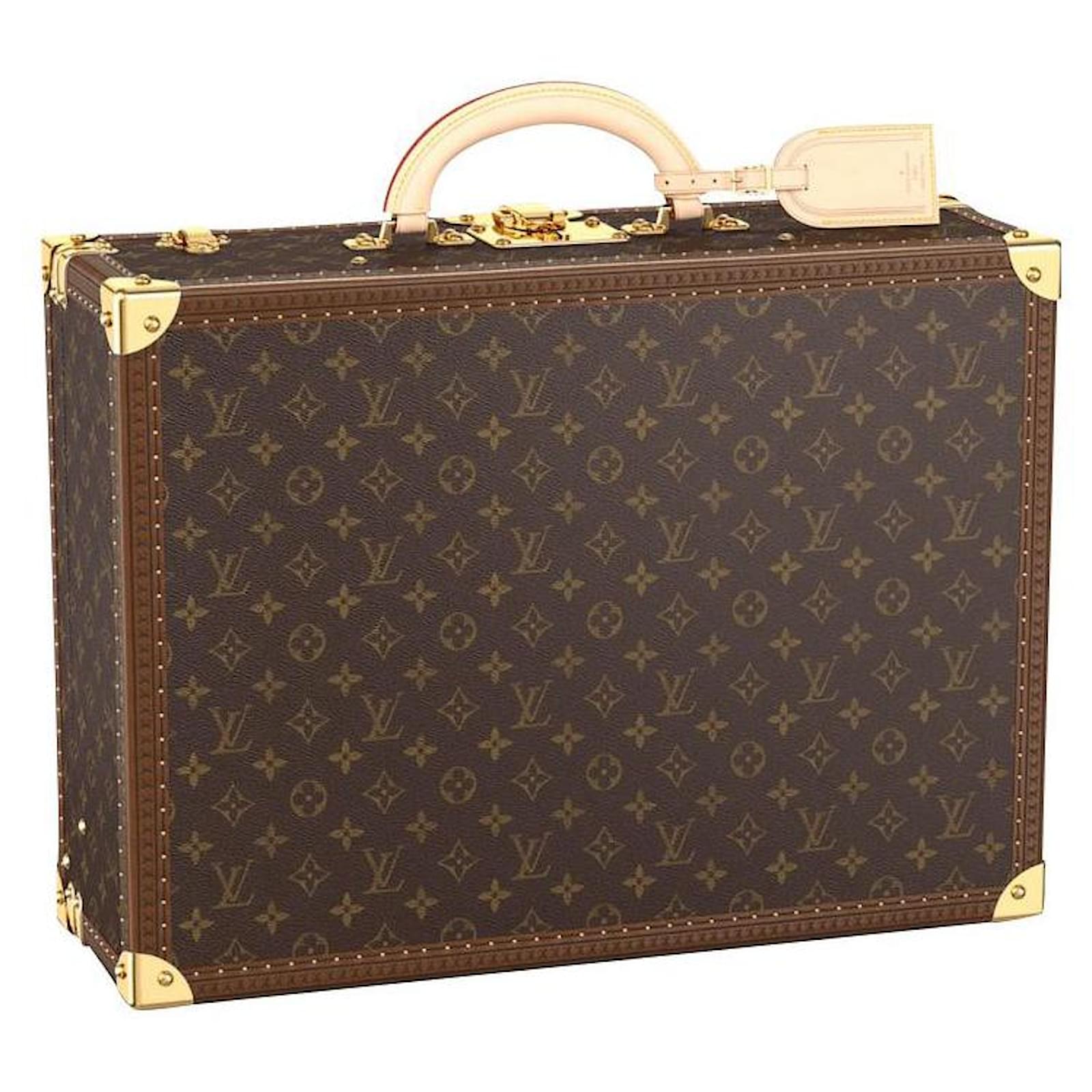 Louis Vuitton LV Bisten 50 Brown Leather ref.367266 - Joli Closet