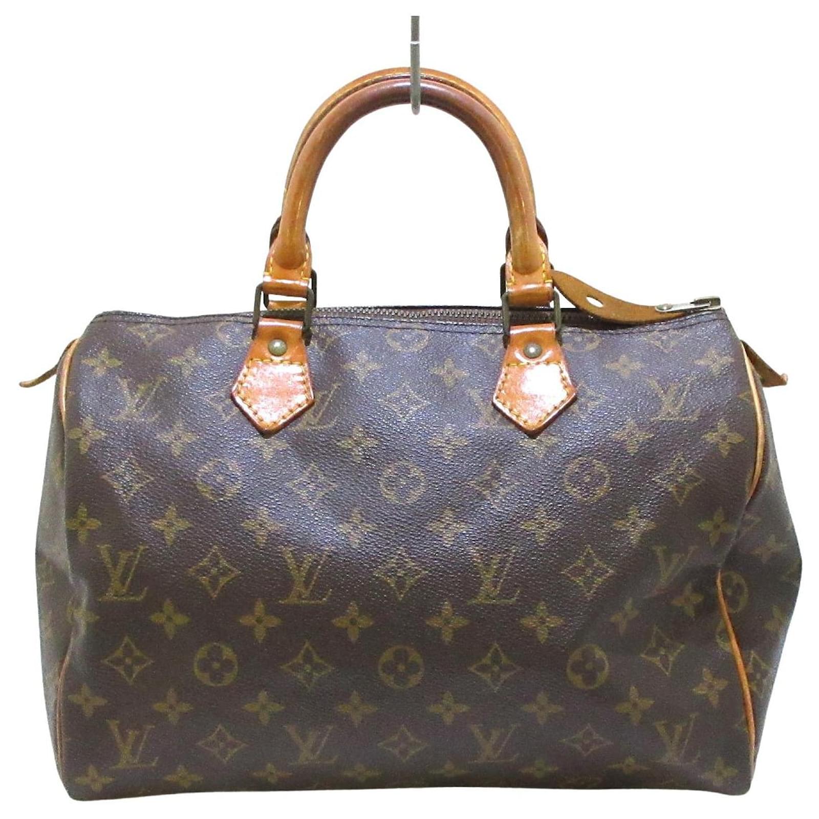 Louis Vuitton Speedy Handbag 386420