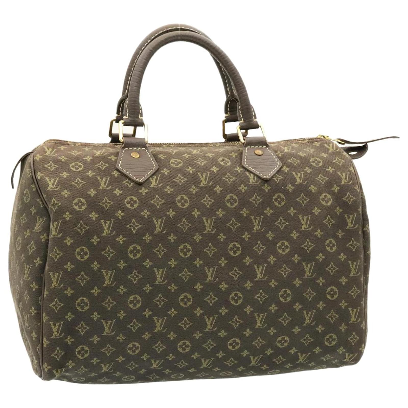 louis vuitton monogram mini speedy