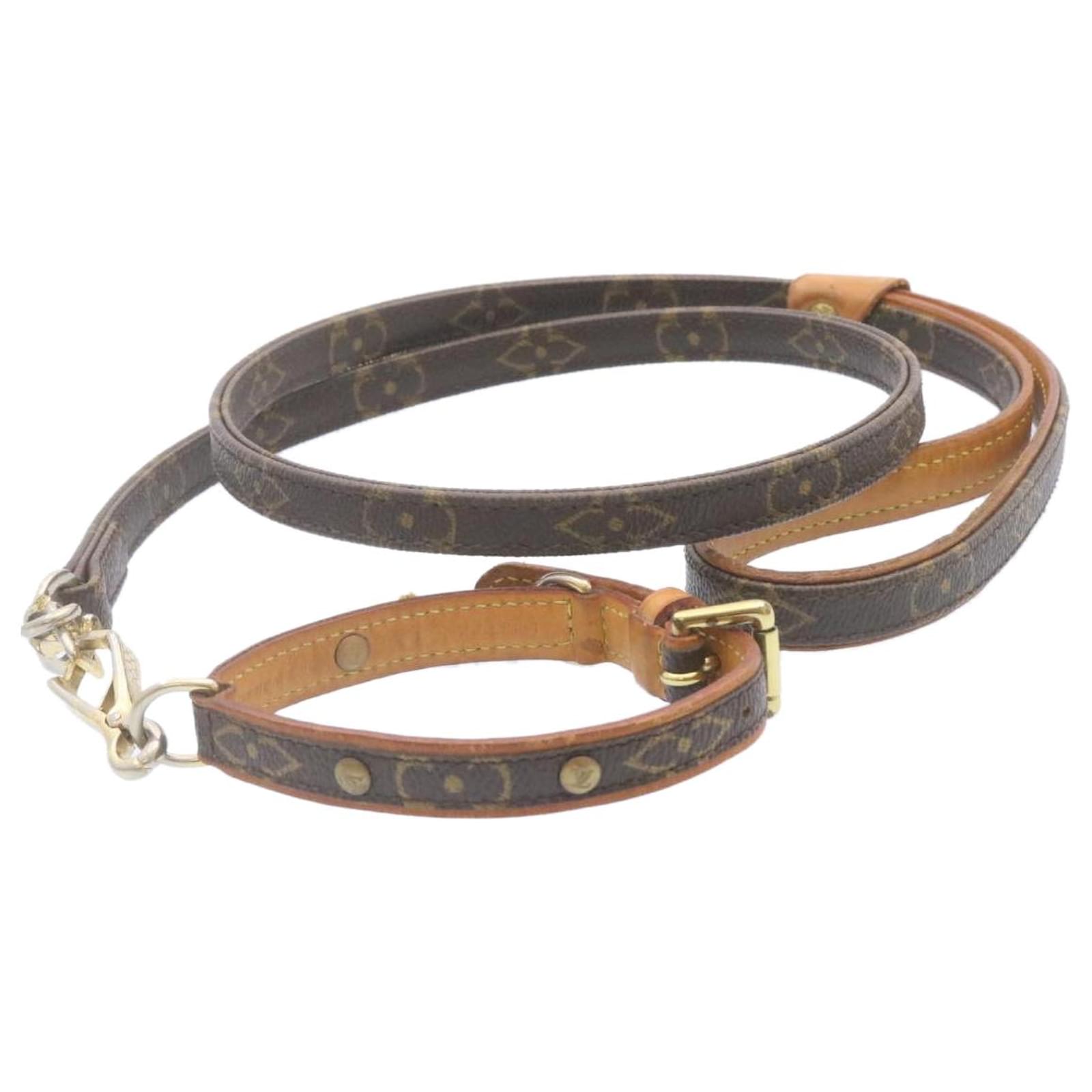 Louis Vuitton Baxter PM Hundehalsband Gold Ring & Baxter MM Hundeleine Set  CV4187