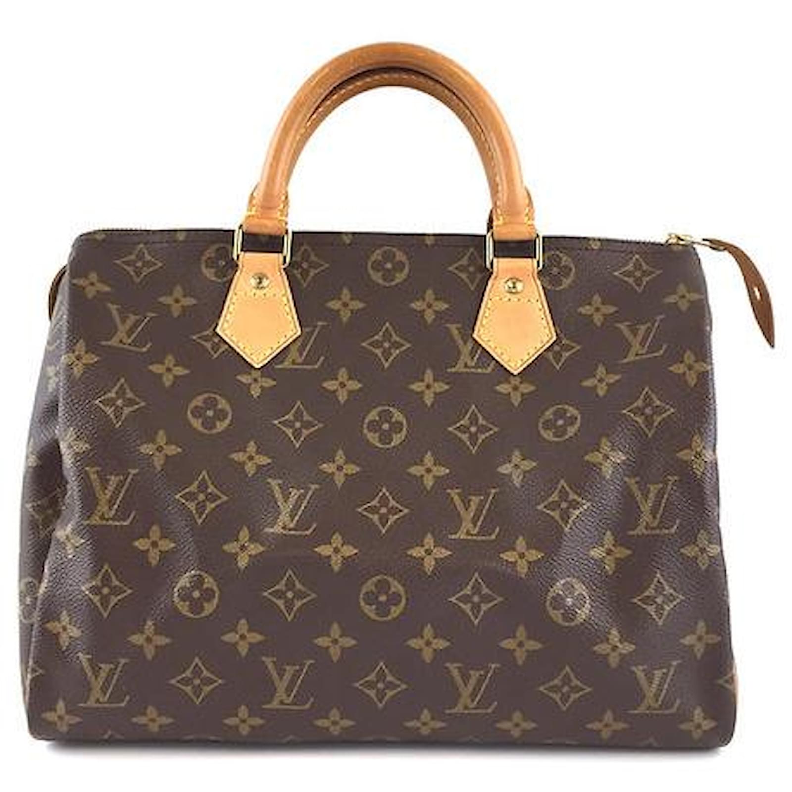 louis vuitton speedy 30 price