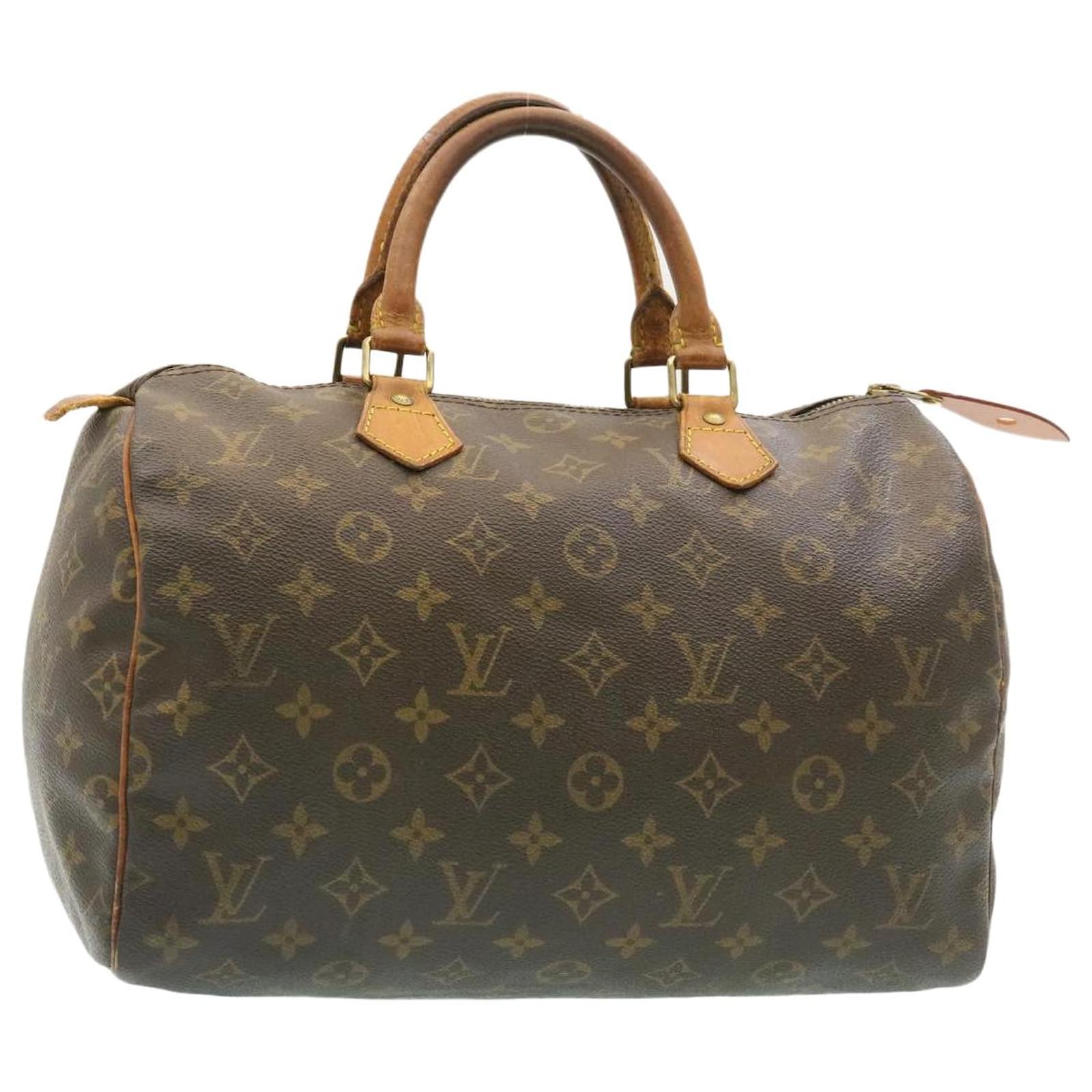 louis vuitton borsa speedy 30