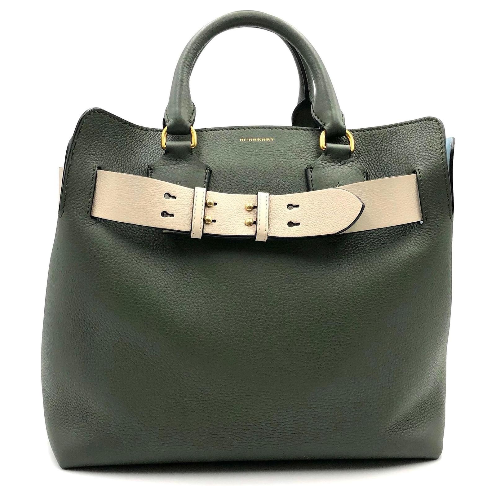 Burberry Belt MM bag in green & blue grained leather  - Joli  Closet