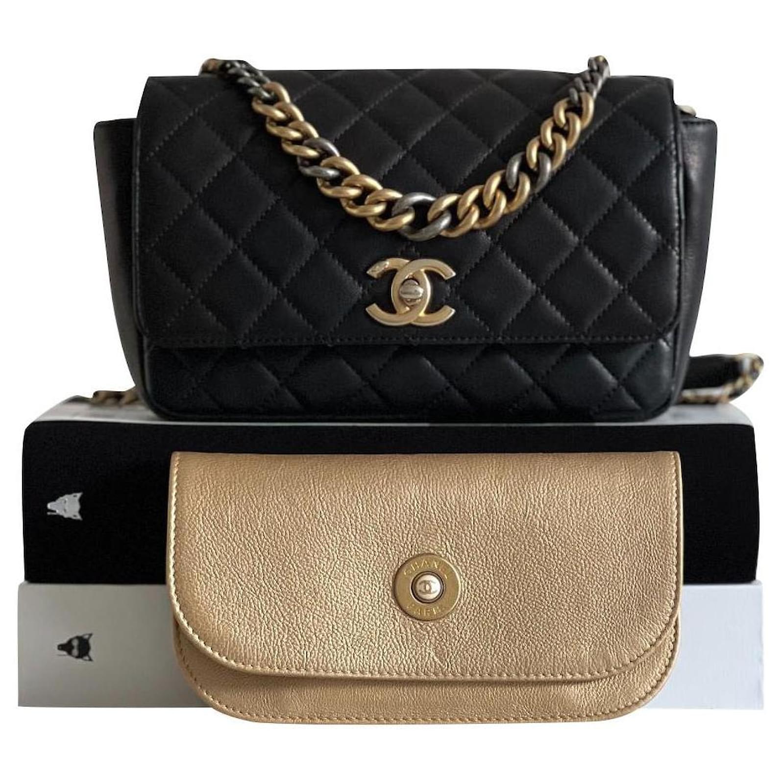 Limited Edition Chanel Bag 2017 Black Leather ref.487792 - Joli Closet