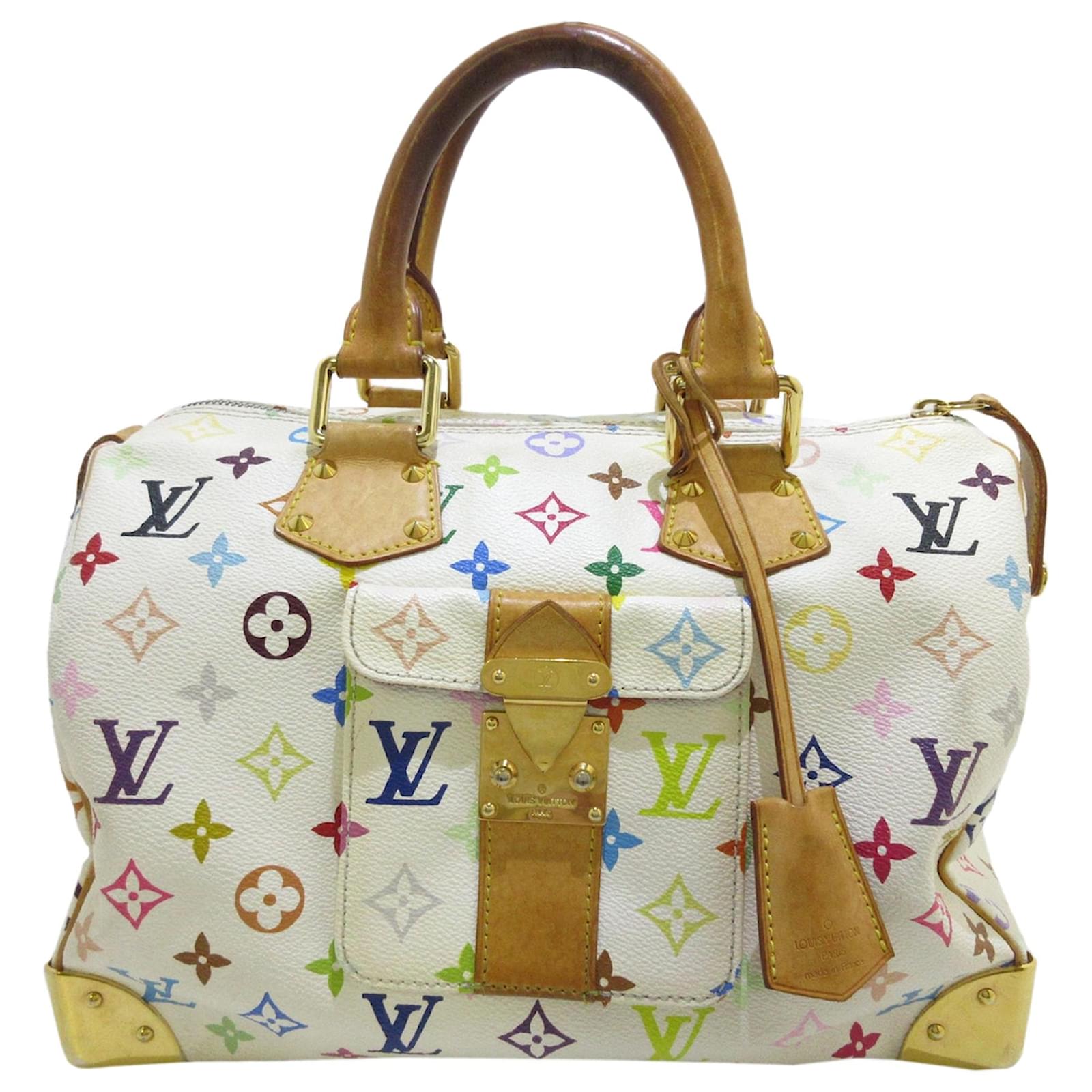 Louis Vuitton Multicolore Speedy