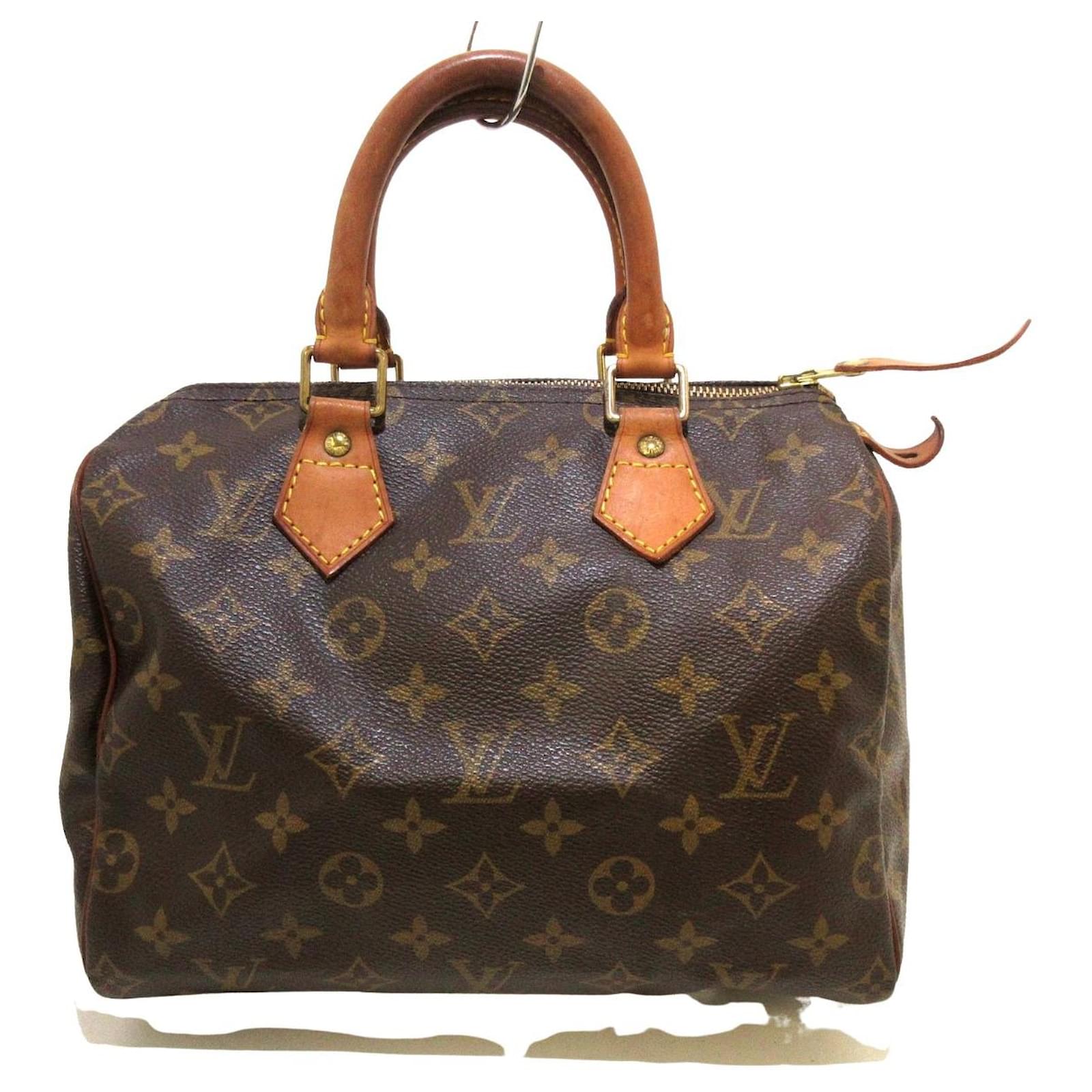 Louis Vuitton speedy 15