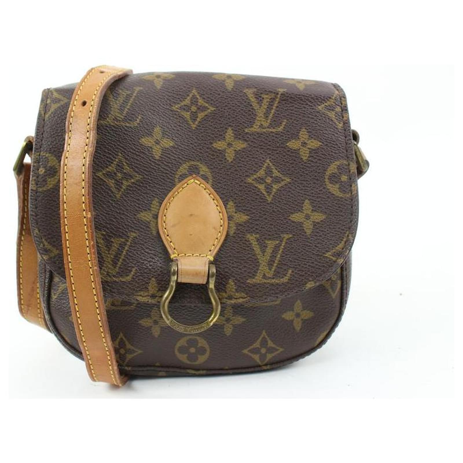 Louis Vuitton Monogram Saint Cloud PM Crossbody Bag Leather ref.530255 -  Joli Closet