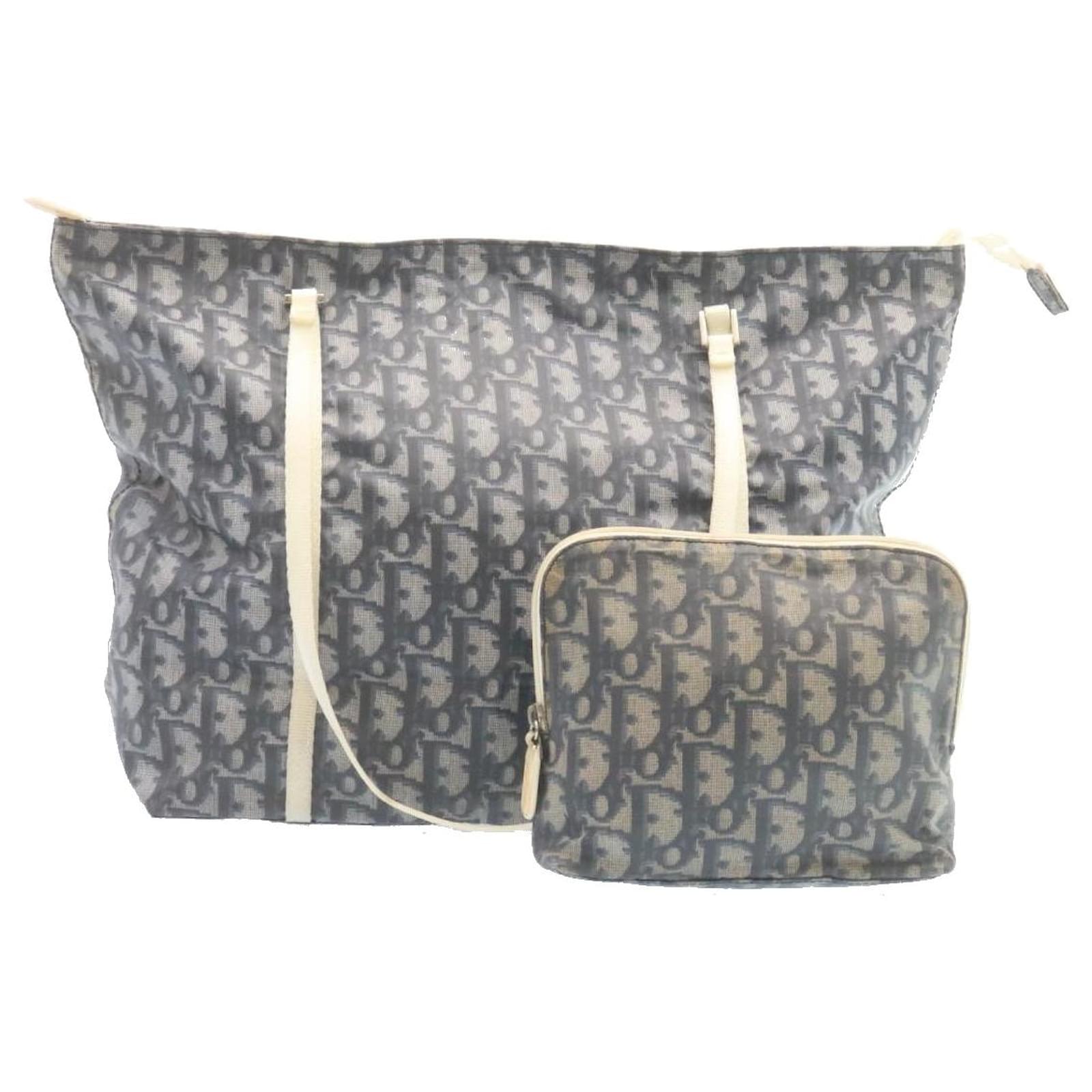 dior trotter tote bag