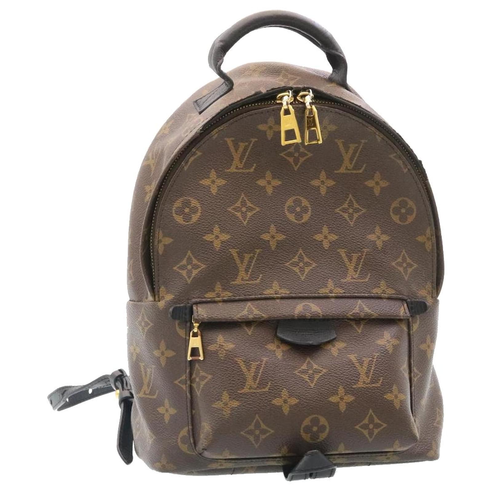 LV palm springs backpack pm size