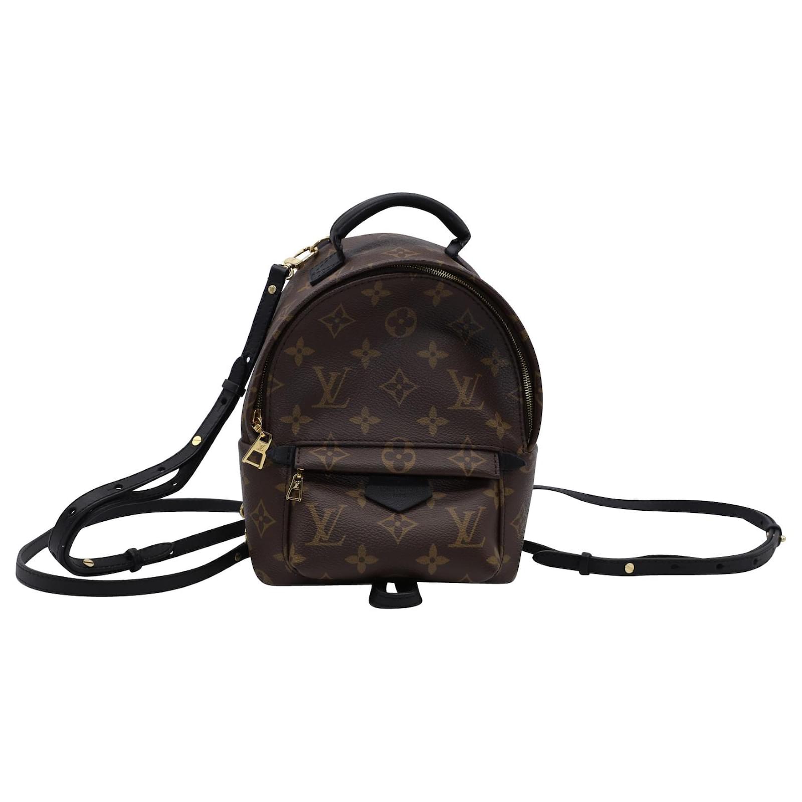 Twist Louis Vuitton Palm Springs Mini Backpack in Brown Leather