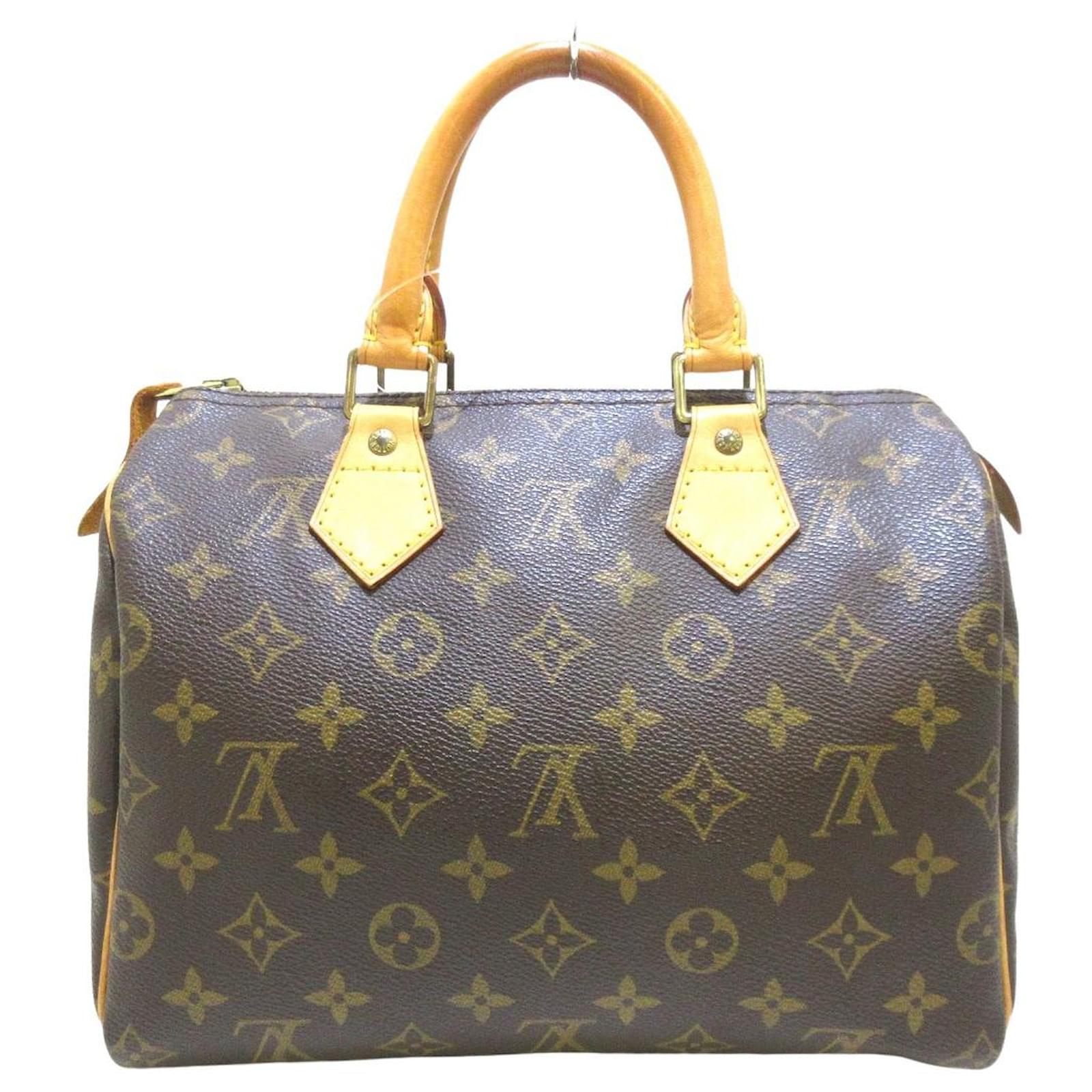 Louis Vuitton Speedy 25 Brown Cloth ref.905211 - Joli Closet