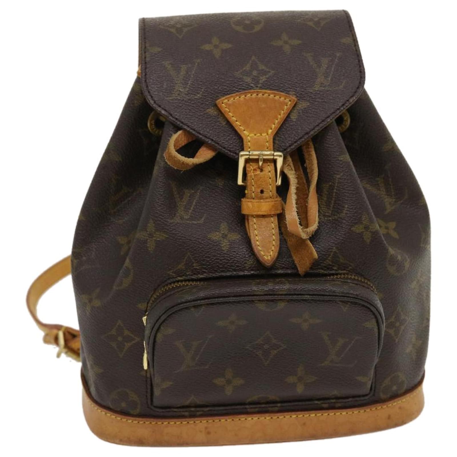 LV Montsouris PM Backpack Organizer