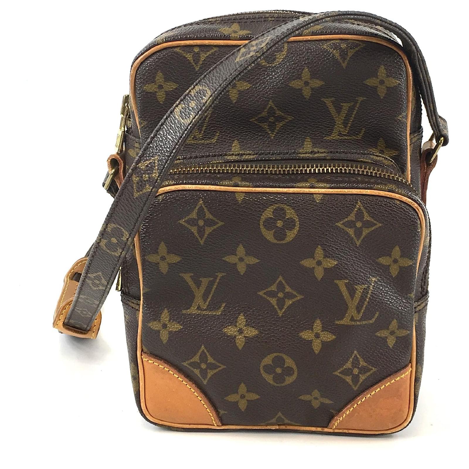 Louis Vuitton  Bags Brown Leather ref.618651 - Joli Closet