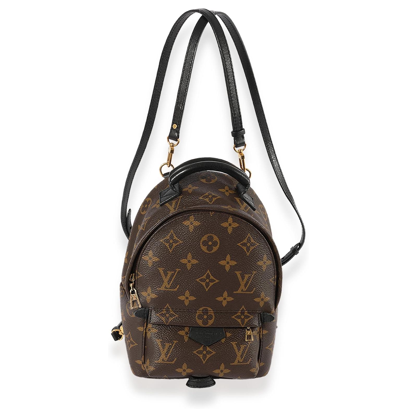 Louis Vuitton Monogram Canvas Palm Springs Mini Backpack Brown ref.622712 -  Joli Closet