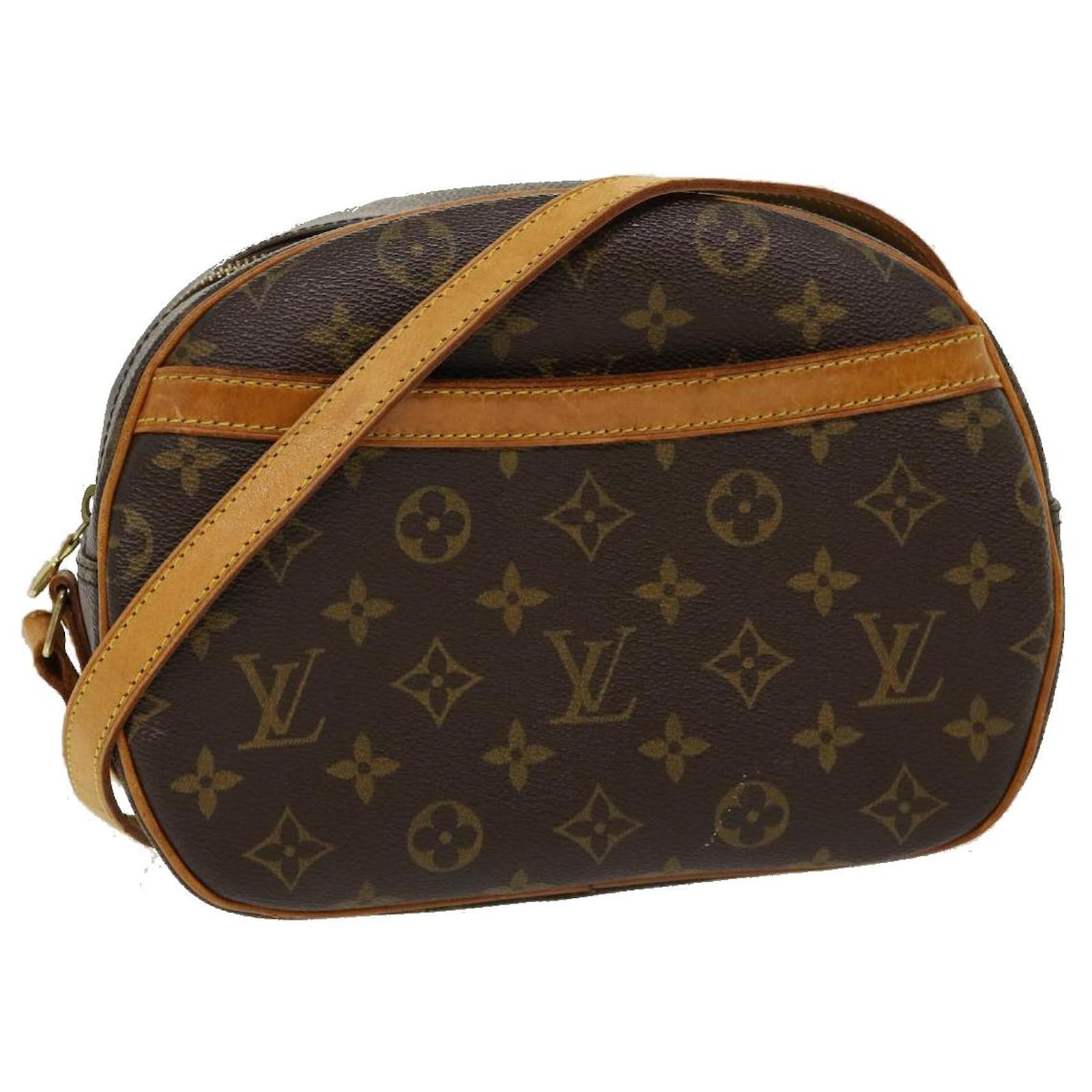 Louis Vuitton Blois Leather Handbag
