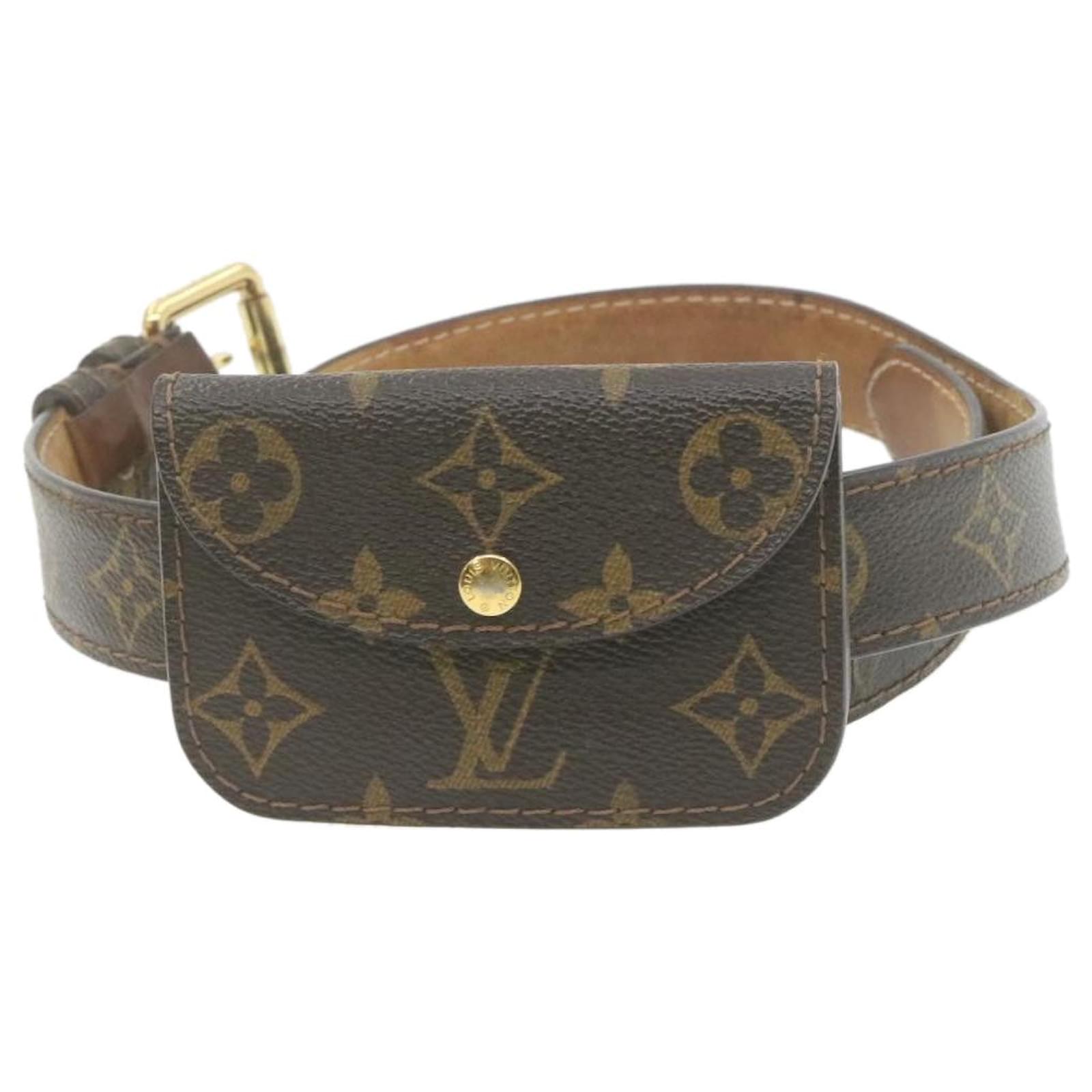 Louis Vuitton lv belt bag monogram  Louis vuitton clutch bag, Lv belt bag,  Lv belt