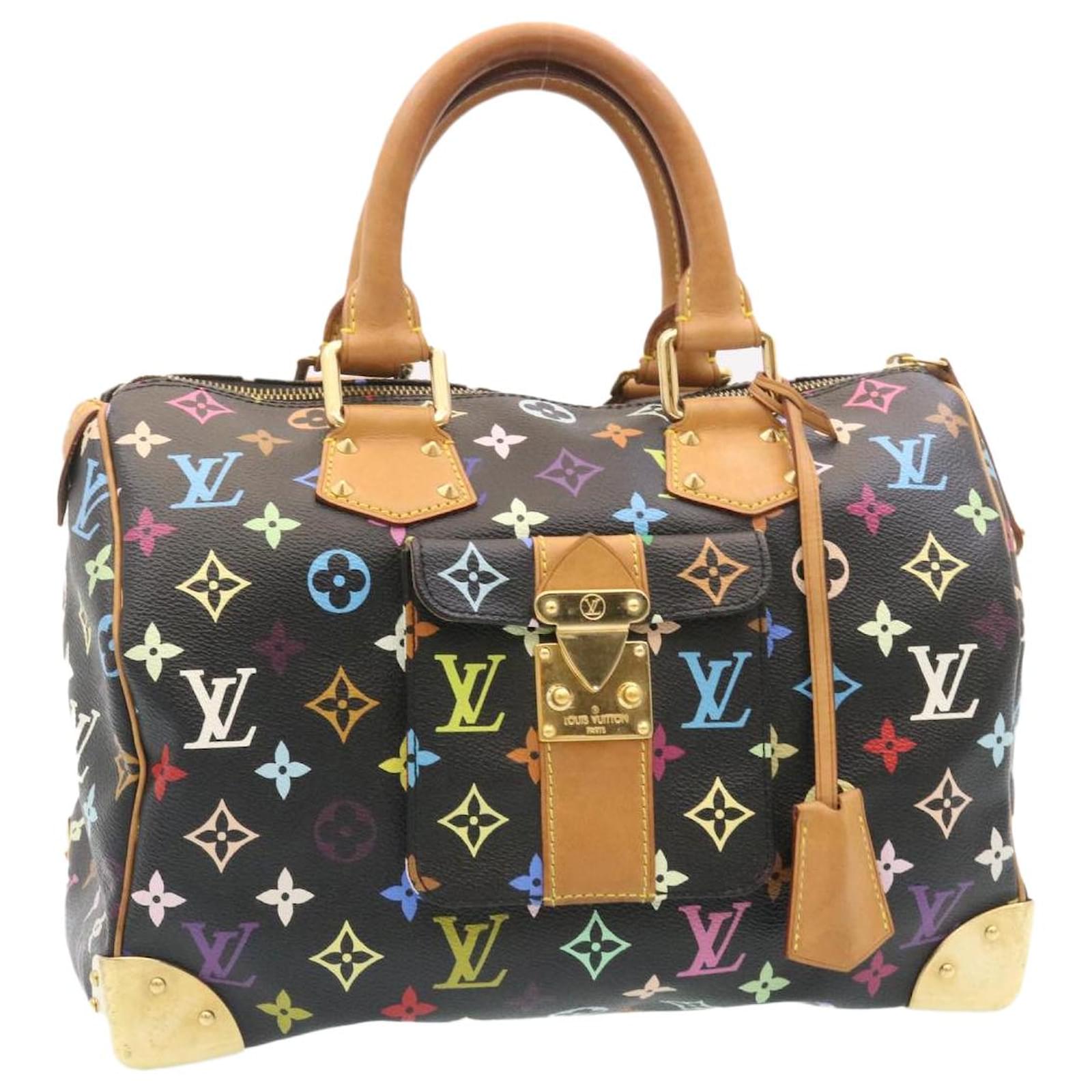 Louis Vuitton multicolor Speedy 30 Hand Bag M92642 LV Auth 28793a Black  ref.635932 - Joli Closet