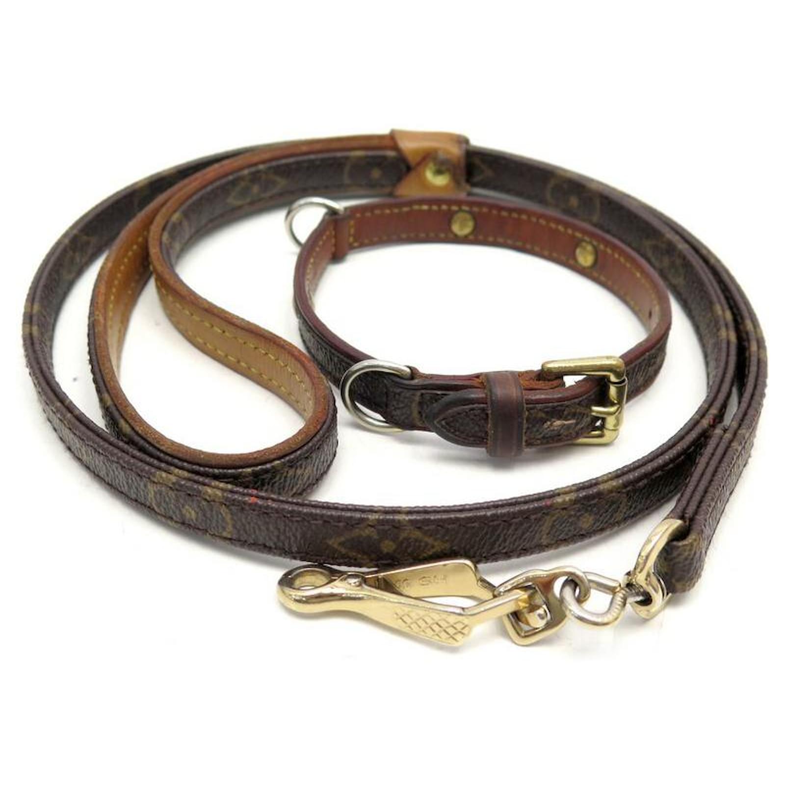Brand New Louis Vuitton Dog Collar and Leash  Louis vuitton dog collar Dog  collar Dog accesories