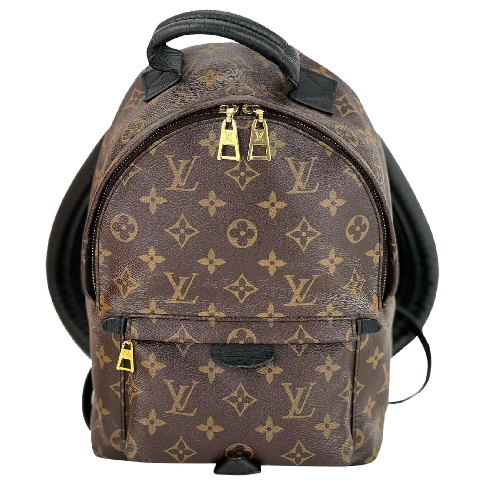 Louis Vuitton Backpack Palm Springs Pm Monogram Canvas Backpack