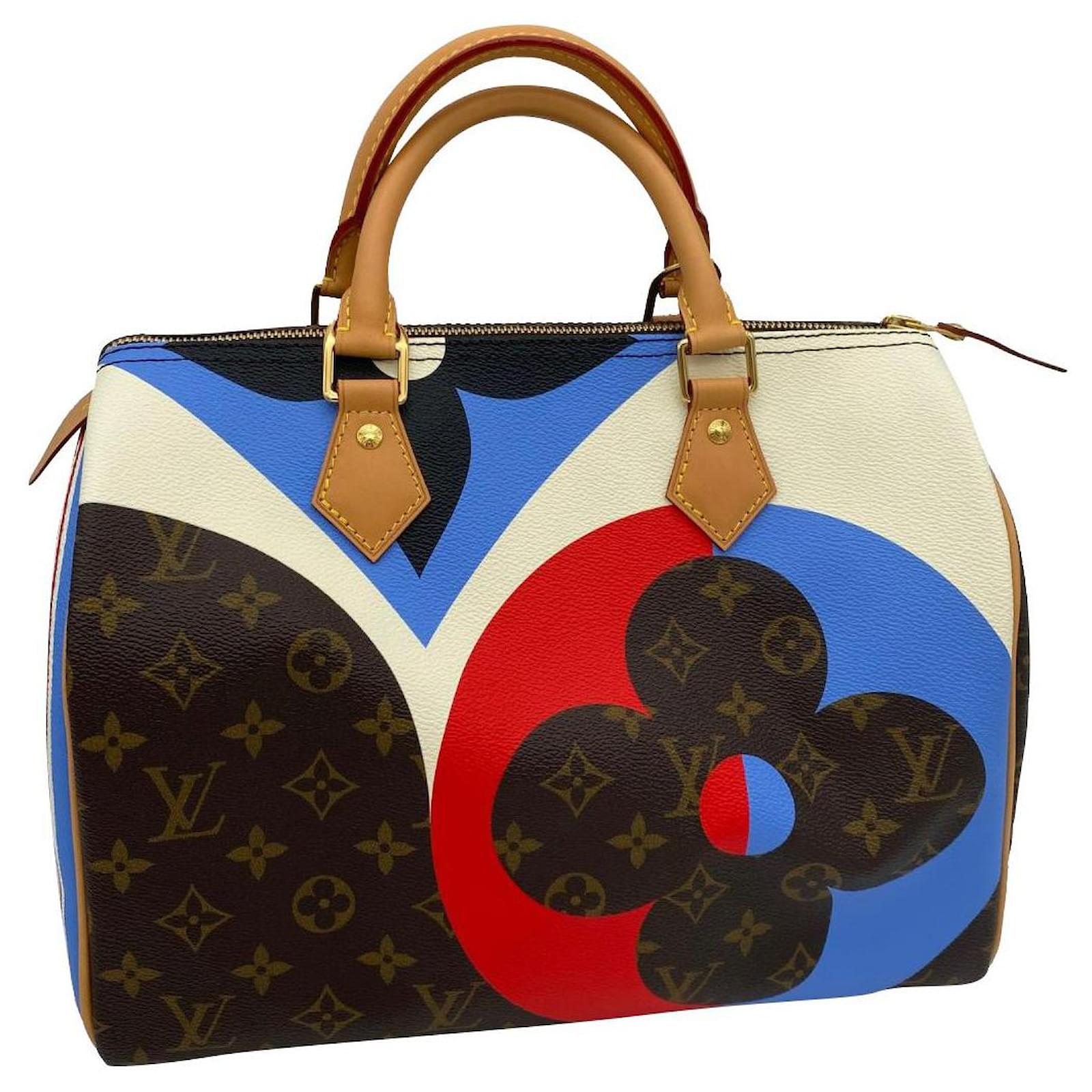 Louis Vuitton x Takashi Murakami Speedy 30 leather bag Multiple