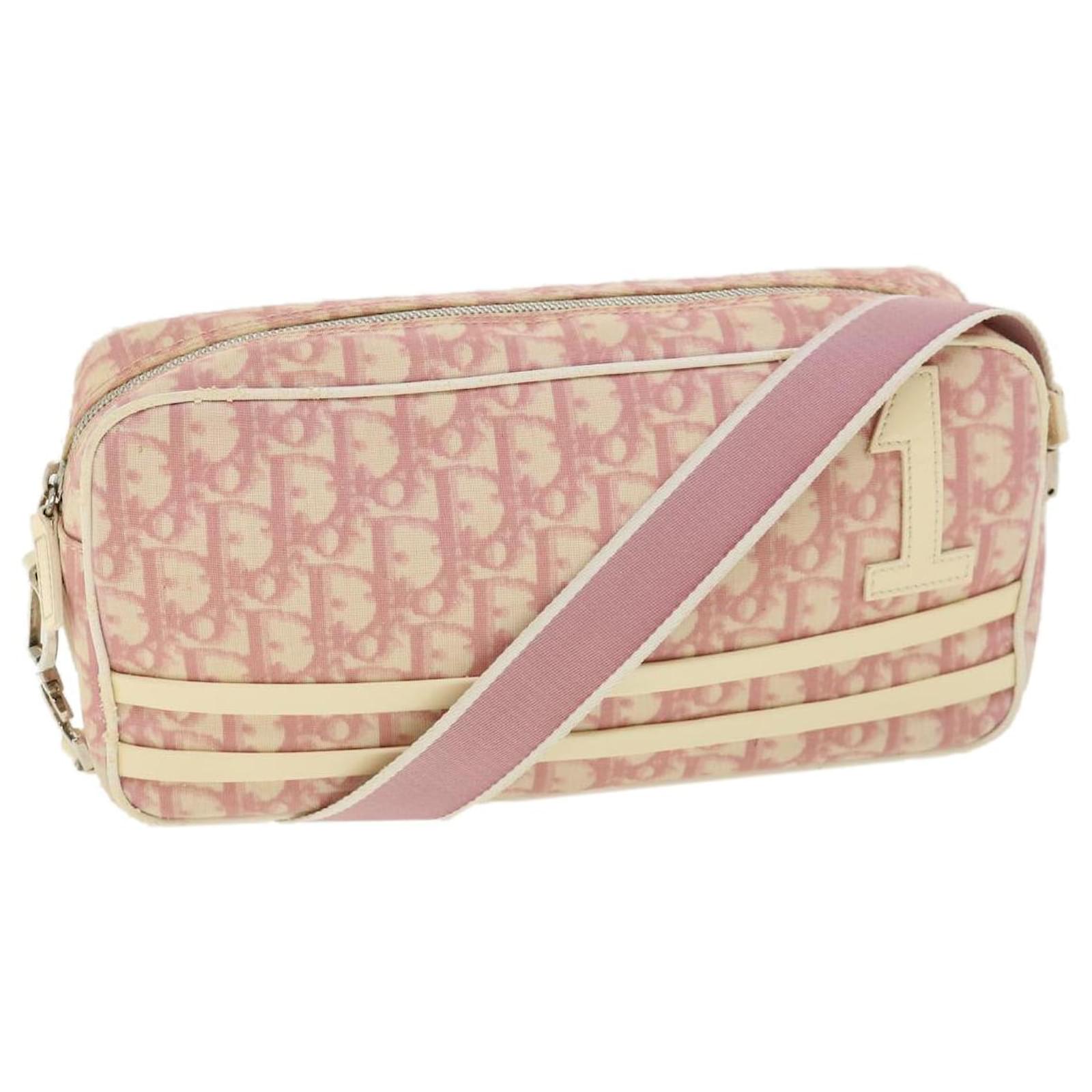 Christian Dior Saddle Trotter Hand Bag Pink Canvas Italy