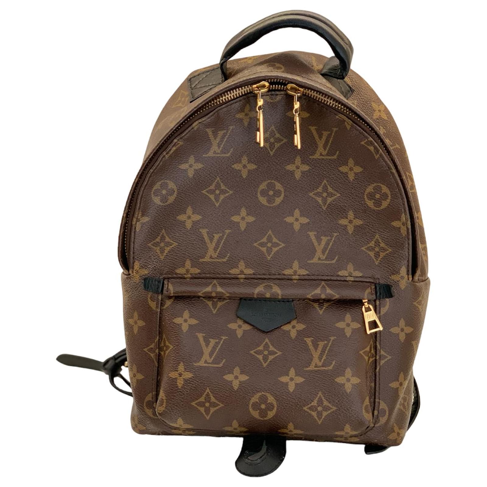 Louis Vuitton Leather Backpacks