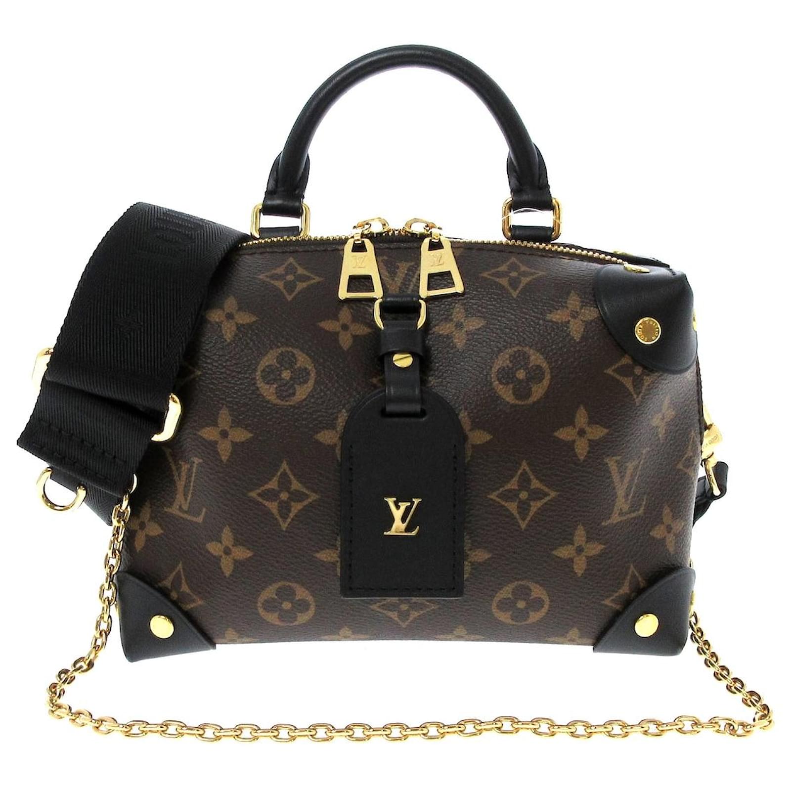 Petite Malle Souple  Louis vuitton petite malle, Louis vuitton bag, Louis  vuitton