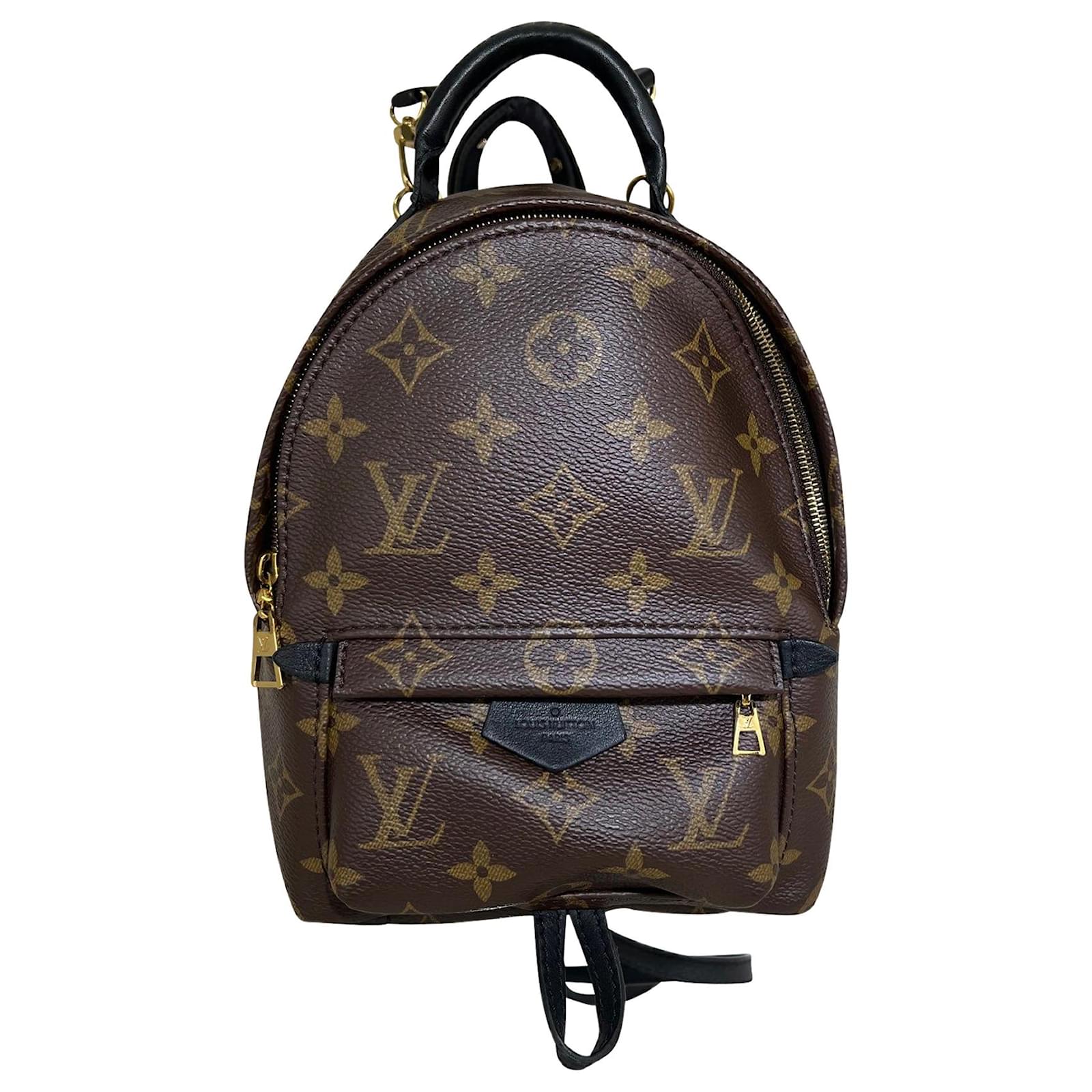 louis vuitton zaino palm springs mini