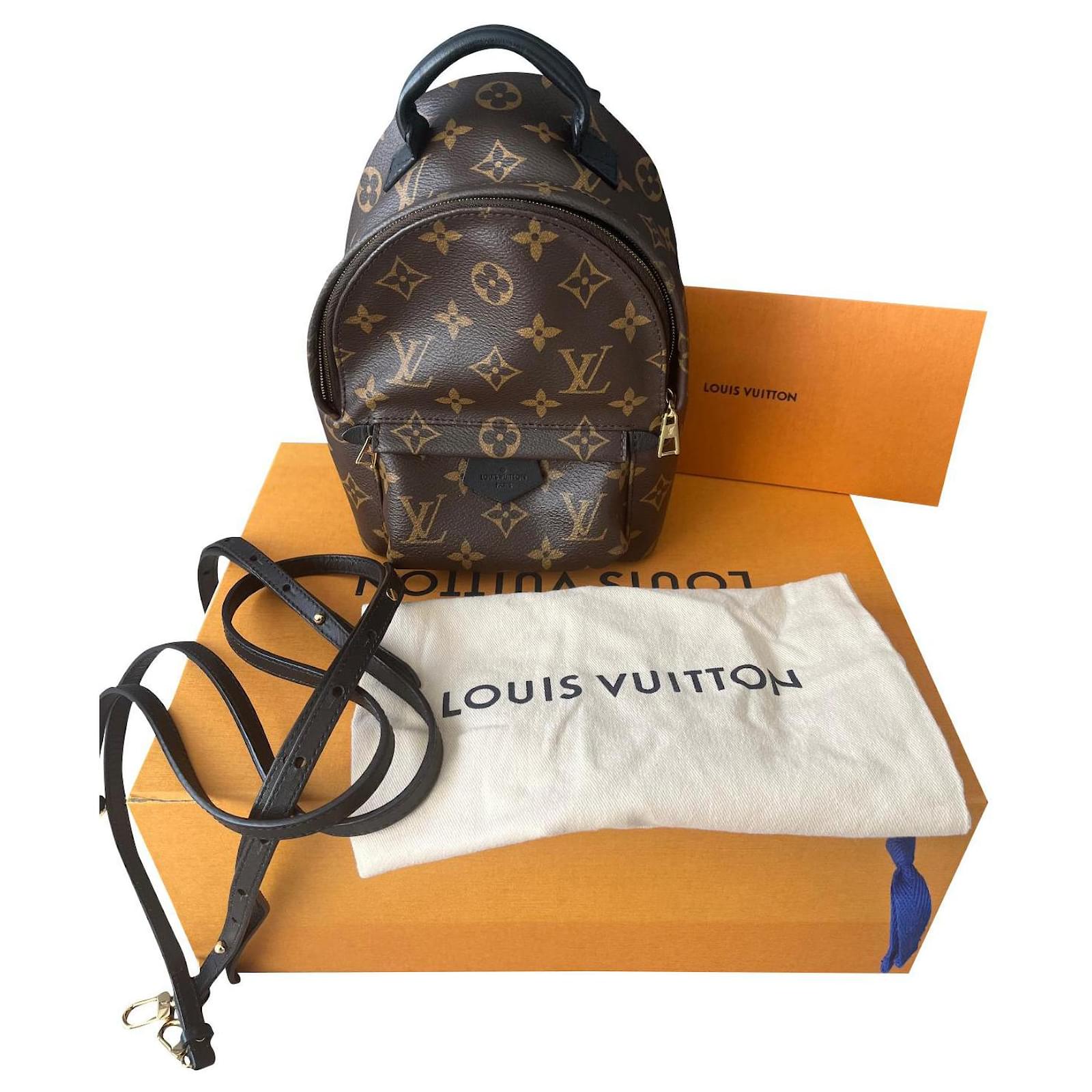 Pallas Louis Vuitton Palm Springs Mini Brown Leather ref.678022 - Joli  Closet