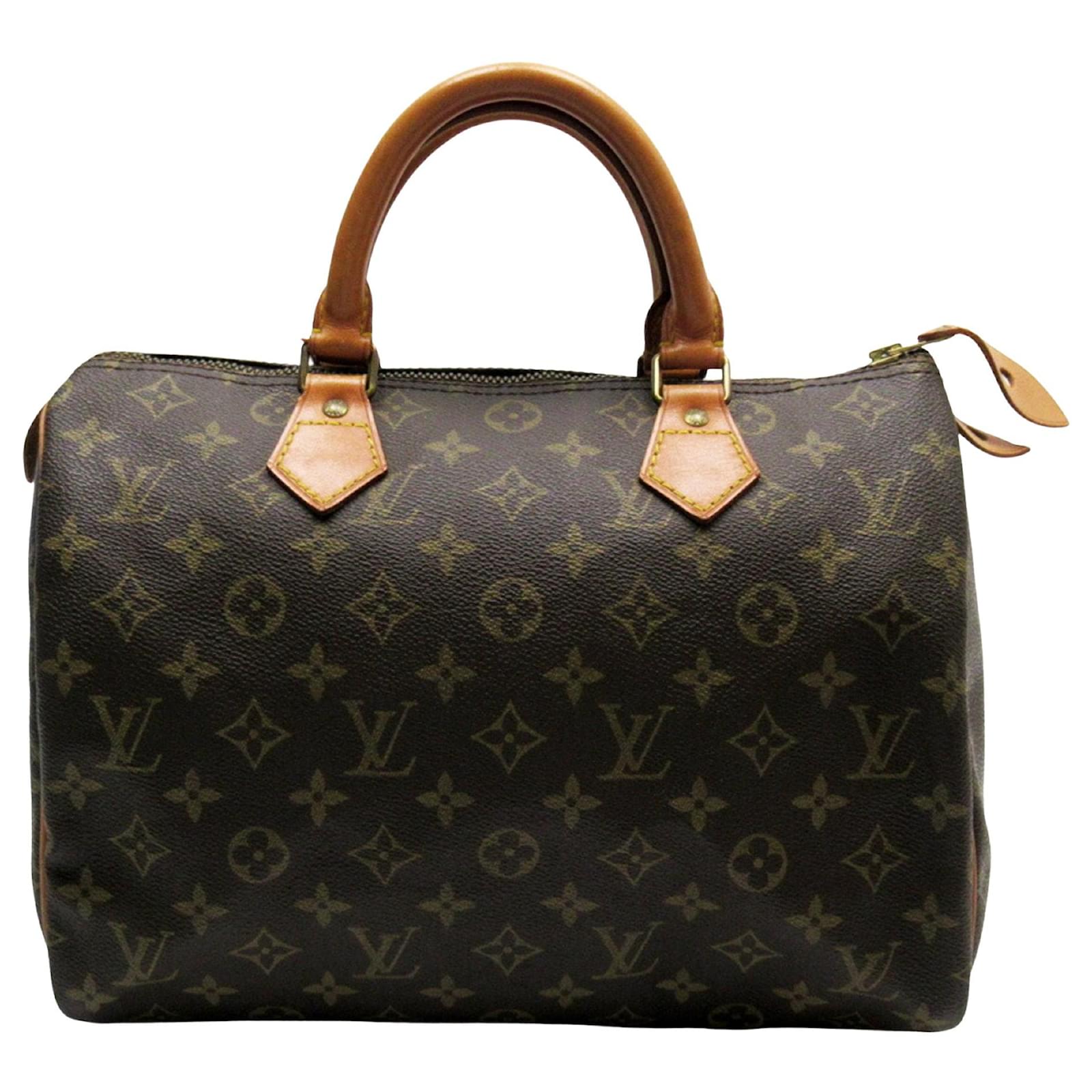 Shop for Louis Vuitton Sienna Brown Epi Leather Speedy 30 cm Satchel Bag -  Shipped from USA