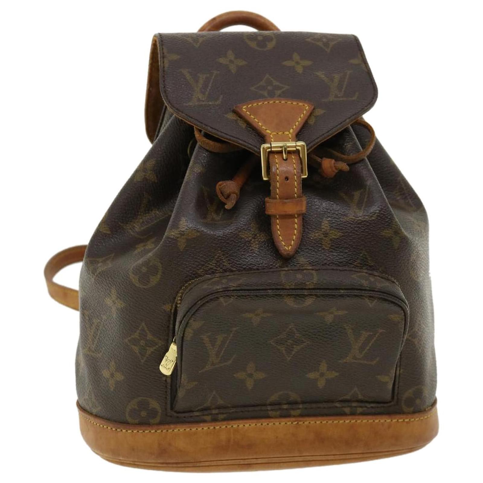 LV Montsouris PM Backpack Organizer
