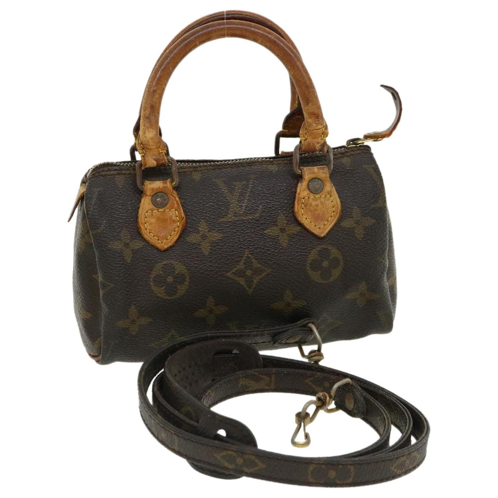 Speedy Bag Louis Vuitton Sizes